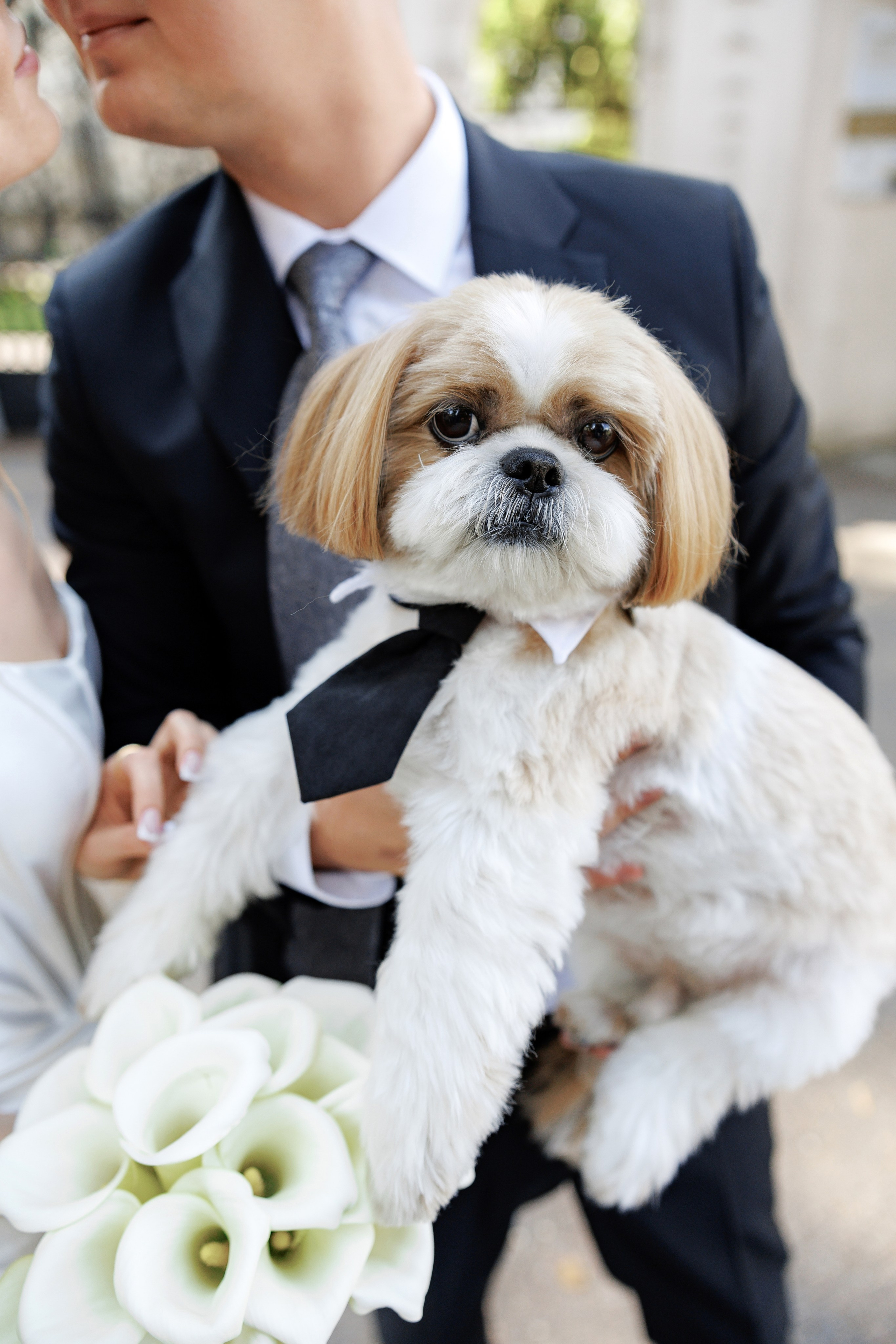 N&A. Krakow. 19.09.2025. Fotograf ślubny i rodzinny w Krakowie Yana Klymova