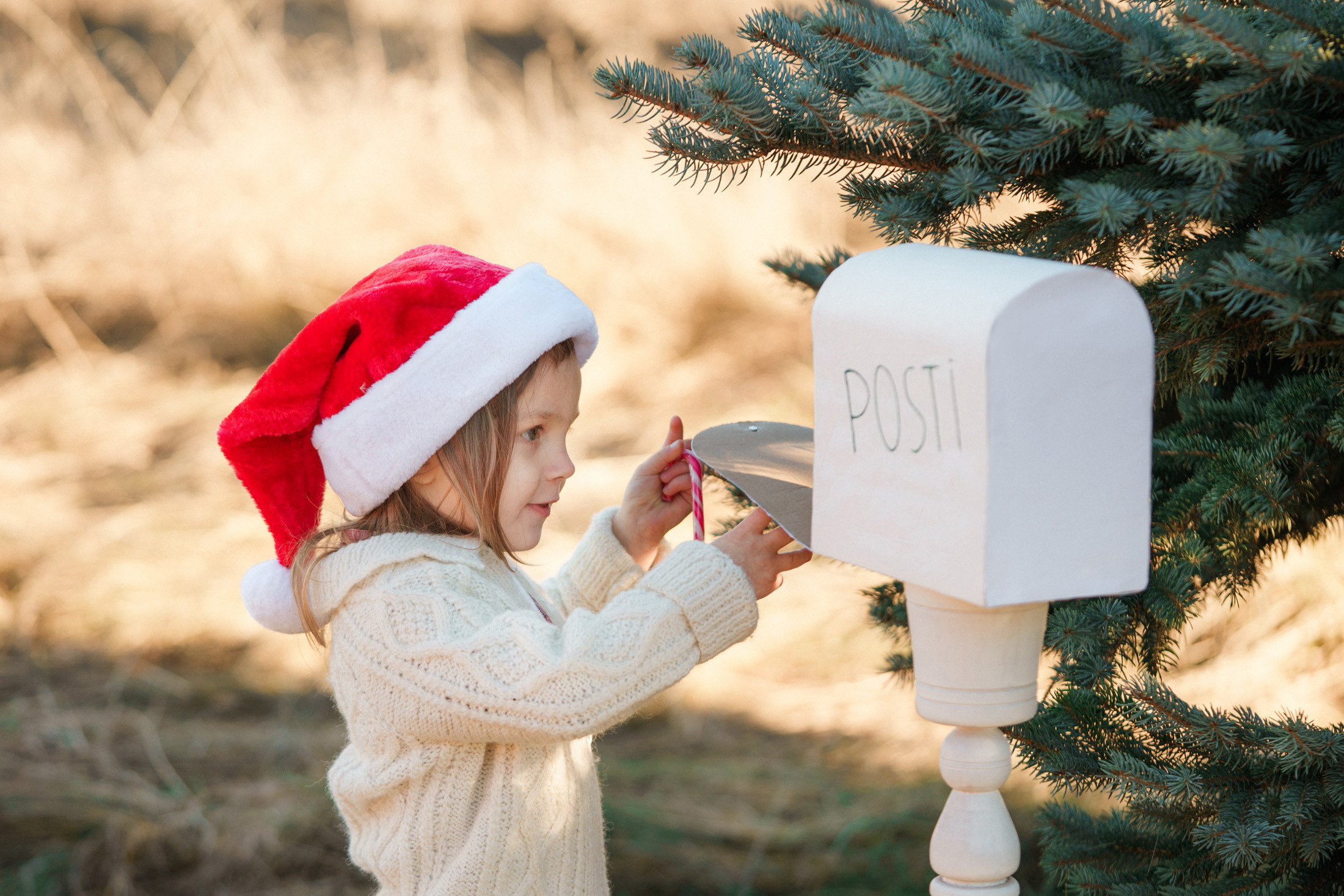 Joulukorttikuvaus miljöössä 2022