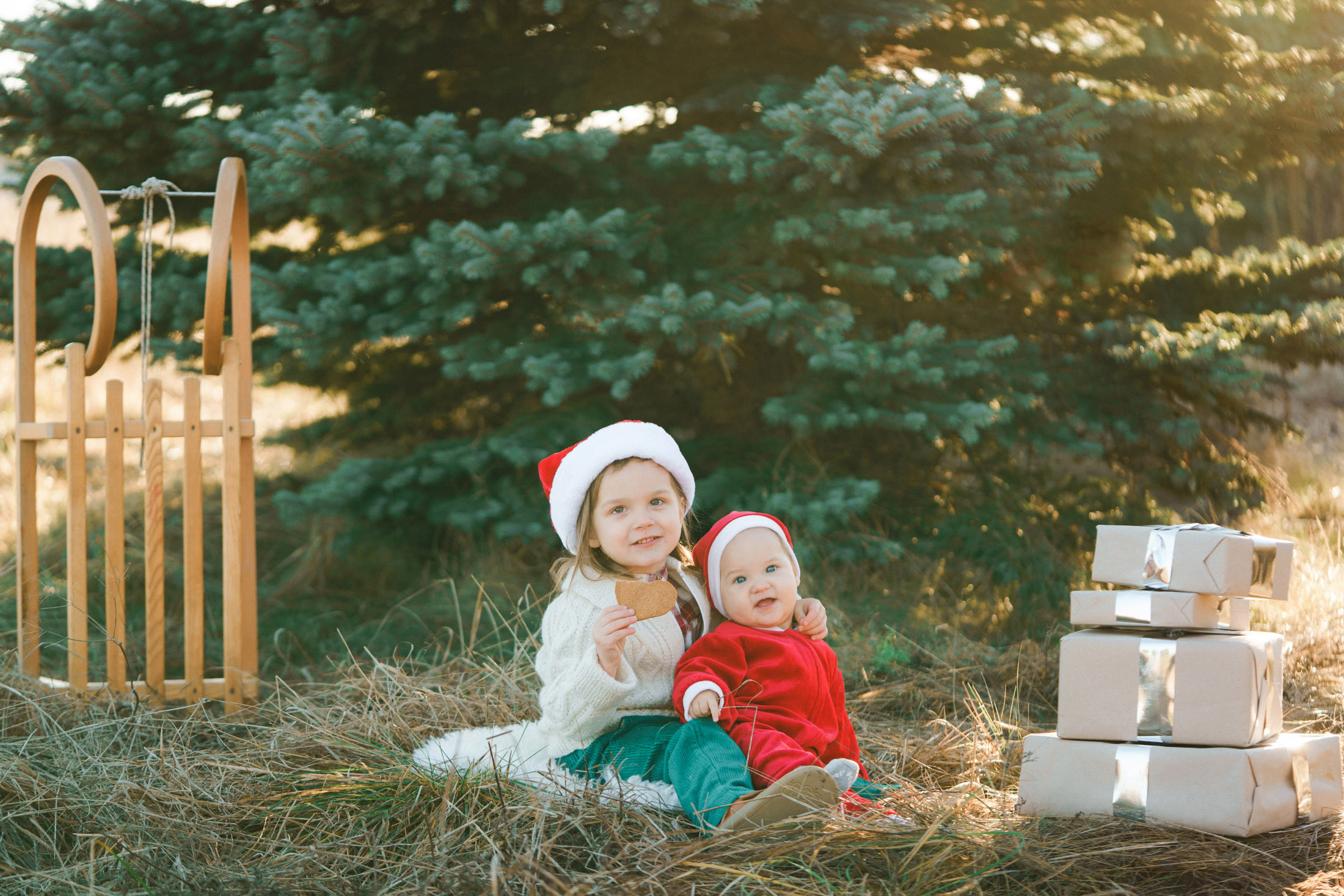 joulukorttikuvaus miljöössä 2022