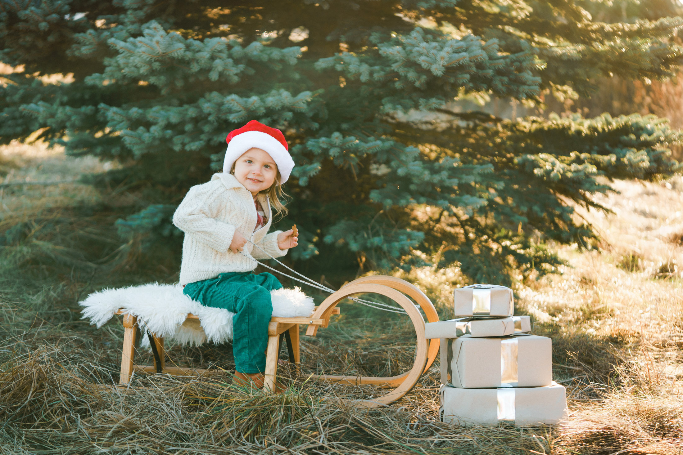 Joulukorttikuvaus miljöössä 2022