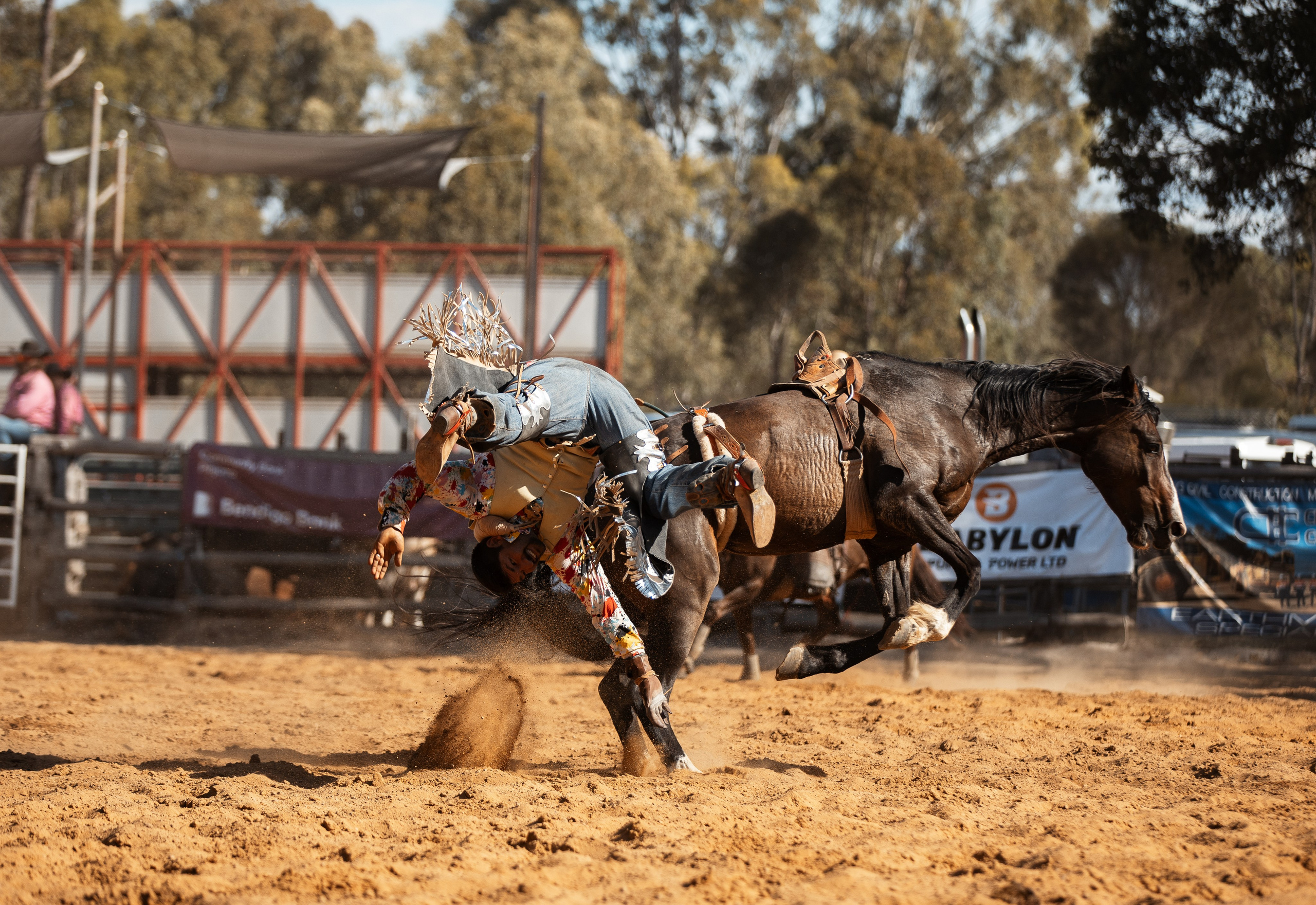 Selection of photos from different rodeos