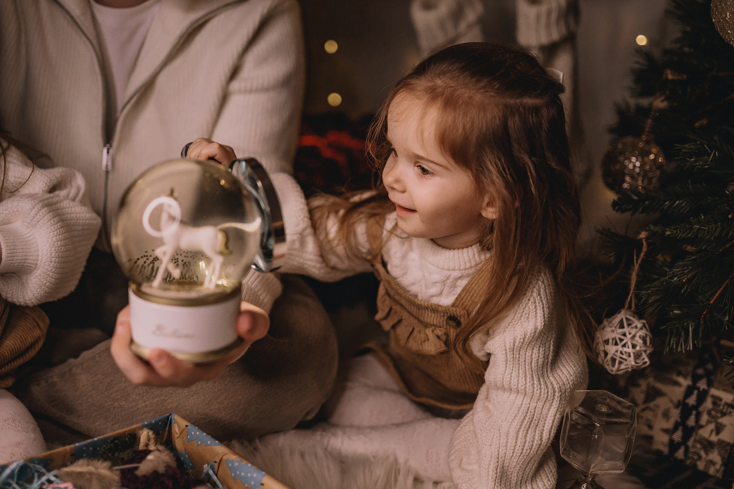 11.26.2025 Christmas Photoshoot. Wedding family event photographer in Chicago Nick Yushevich