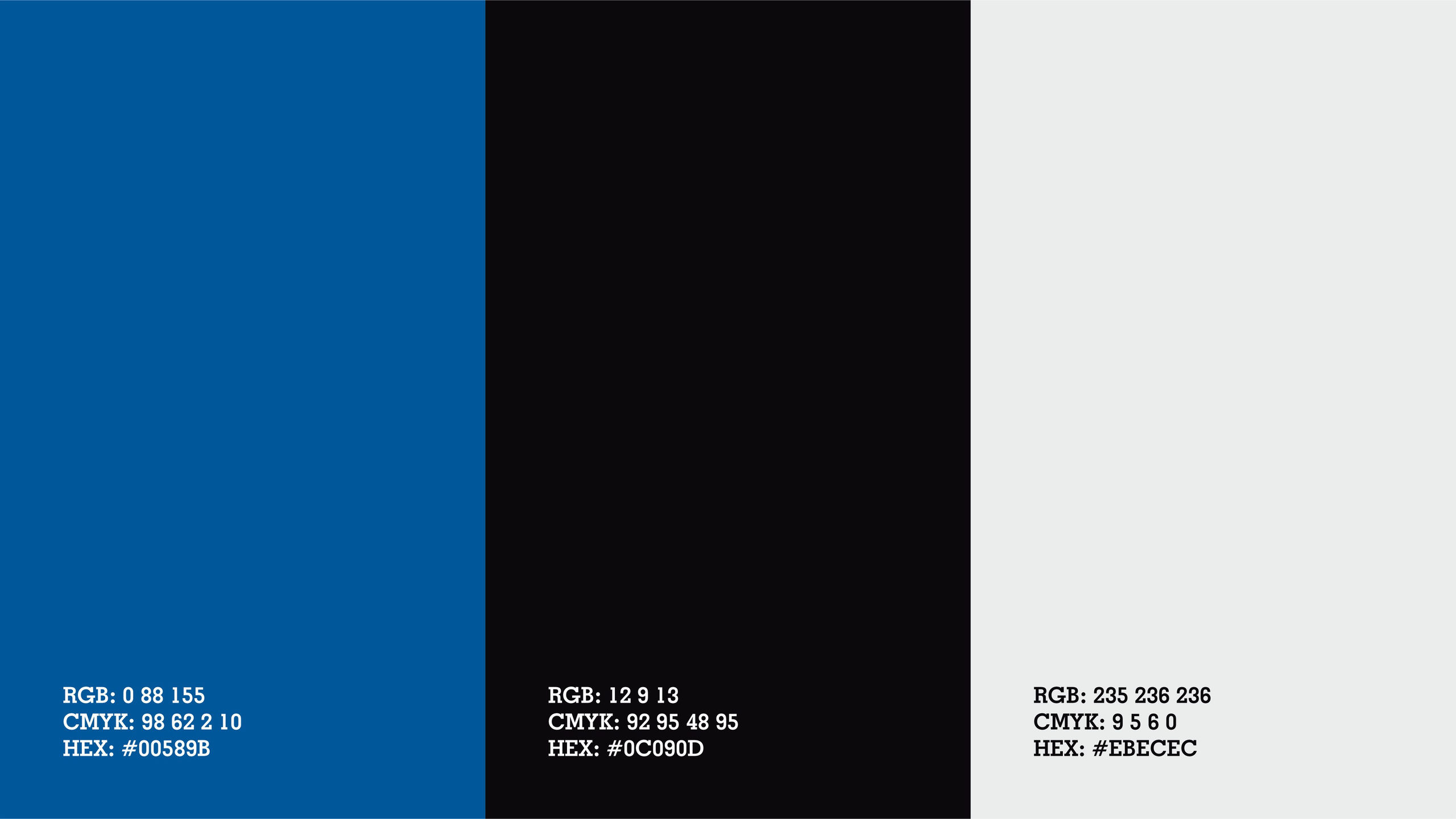 Audit Pro - Logotip. Dirov — Hayot Khodirov