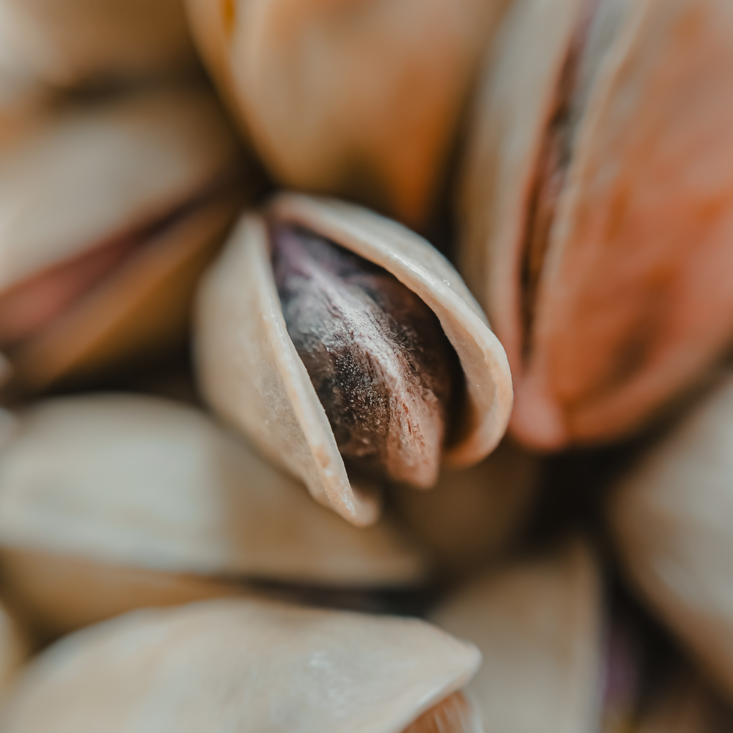 Food Content Creator for Local Cafes and Restaurants in Los Angeles