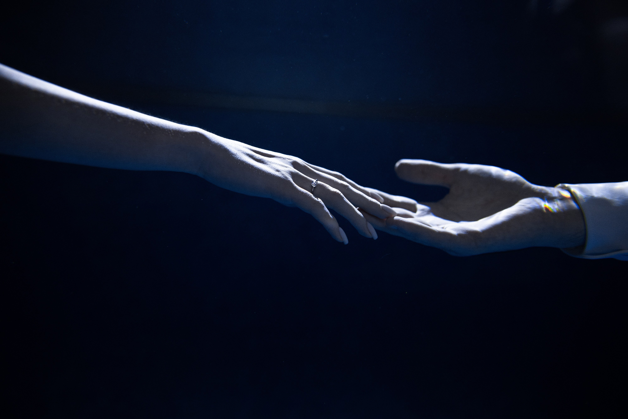 Эрик и Саша. Азимжан Нуритдинходжаев — свадебный фотограф