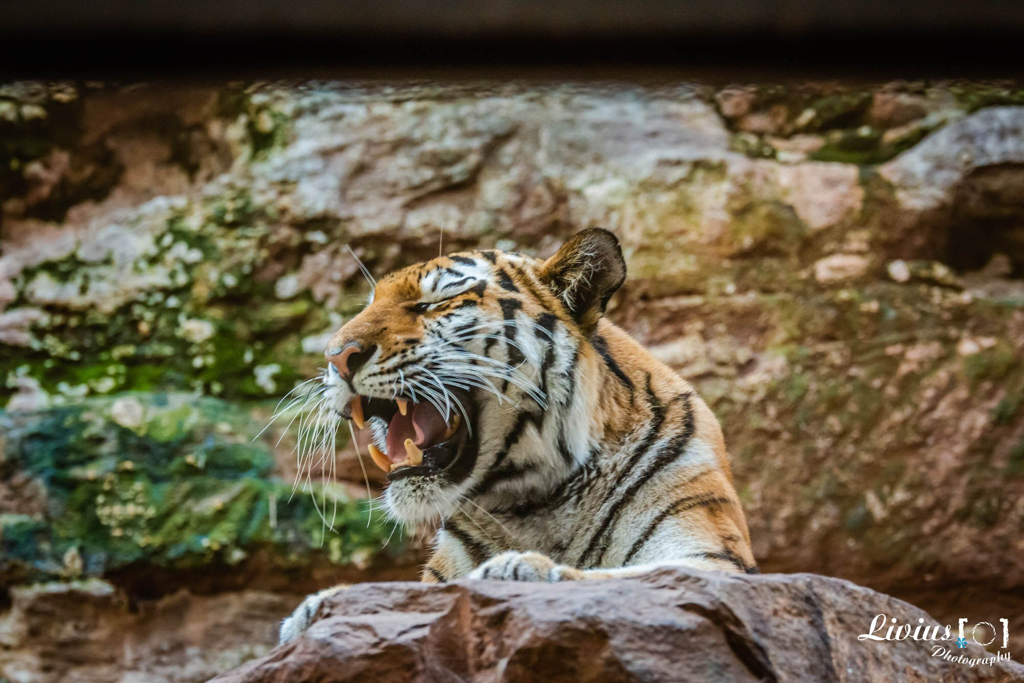 Tierpark Nürnberg. FOTO KREATIV