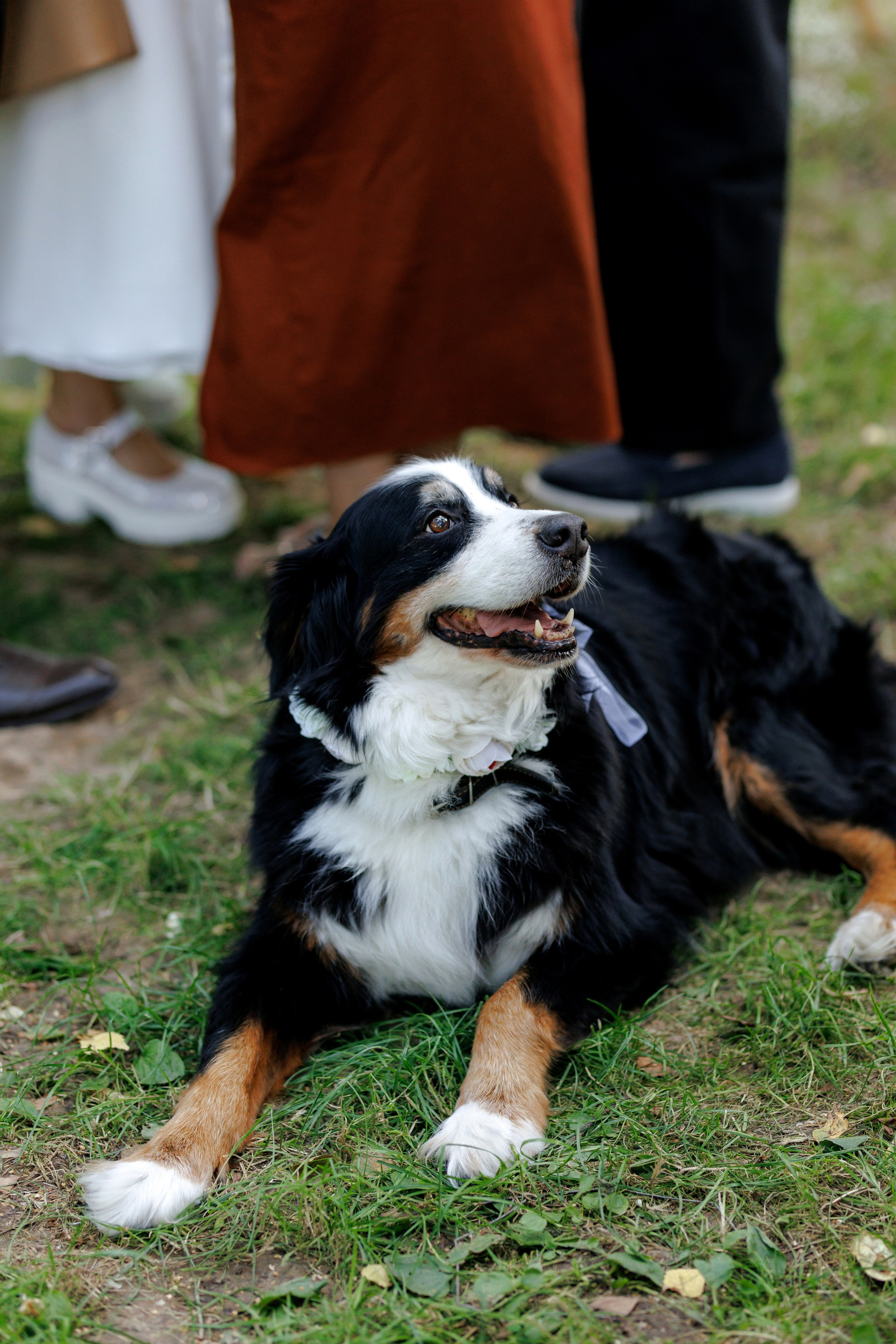 Janina & Wladek. Dworzyszcze Wola. 23.07.2025. Fotograf ślubny i rodzinny w Krakowie Yana Klymova