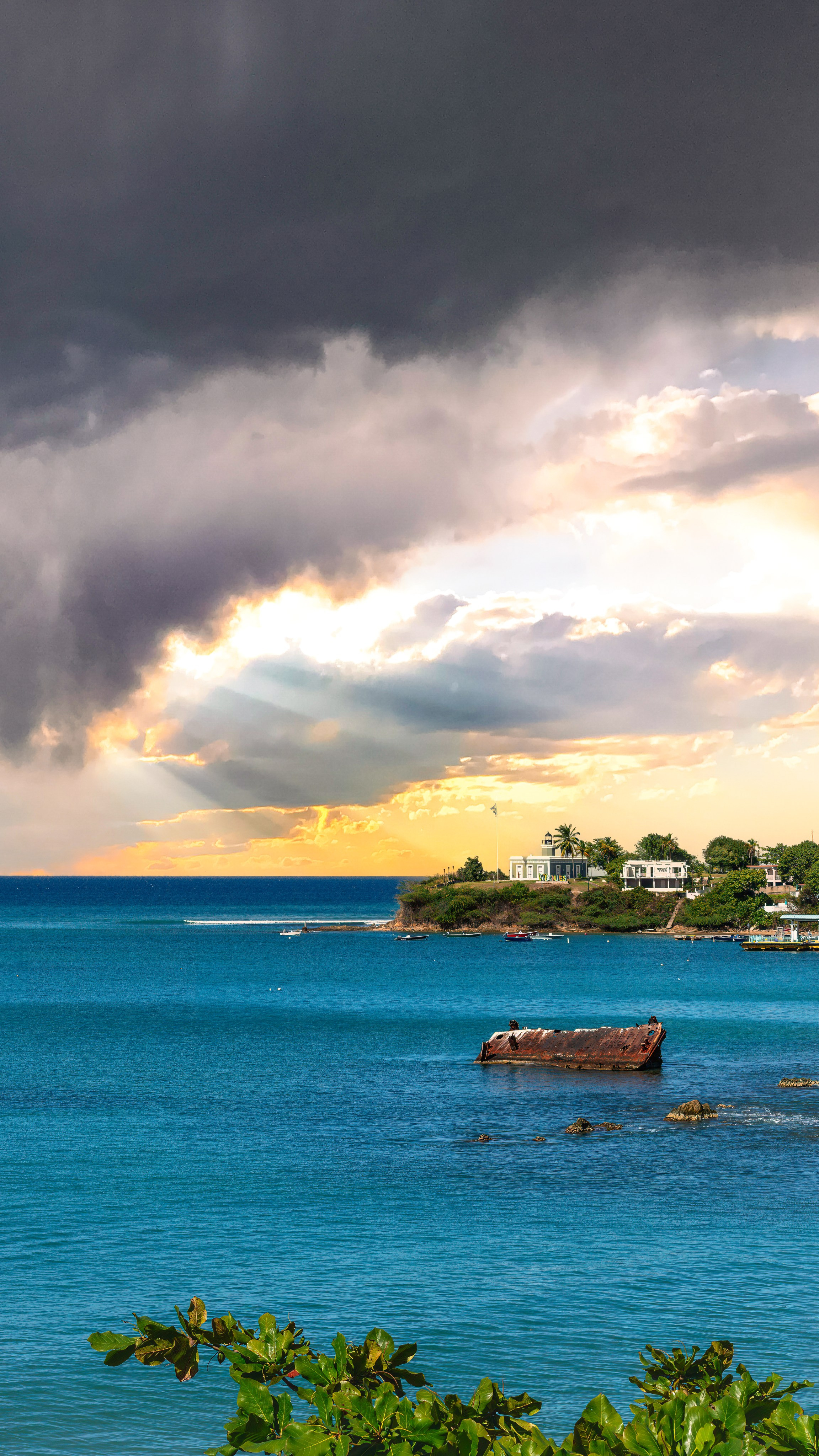 Natural Light. Manny Cruzado Photography