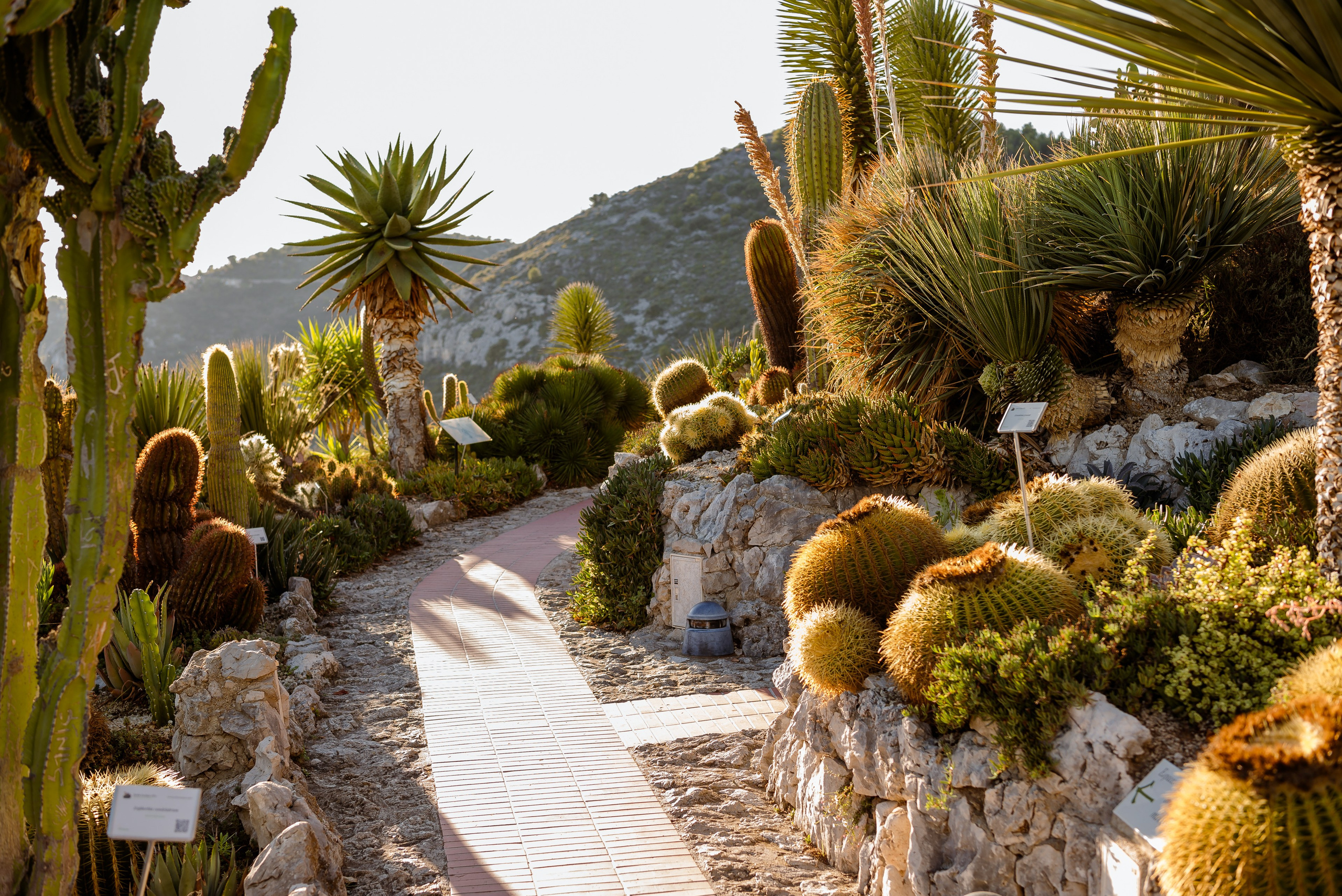 Natalia. Eze. MARIA VALUEVA Fotógrafo en Niza, Cannes, Monaco, Francia, Europe, Estambul, Turquía