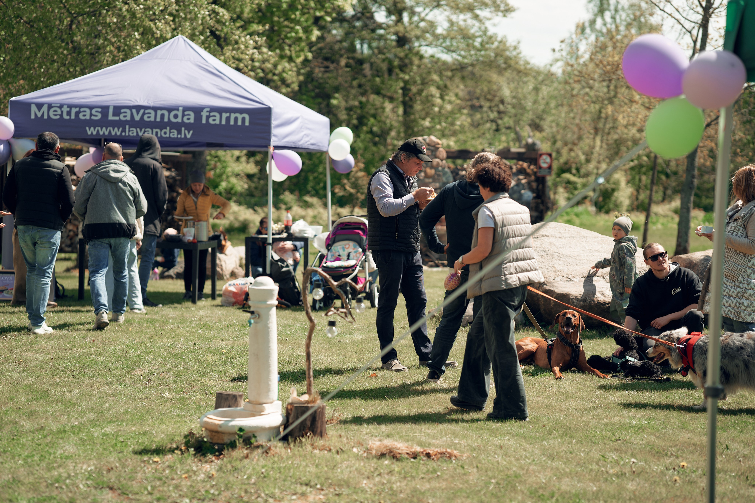 Event Photographer. Photographer in Doha, Qatar