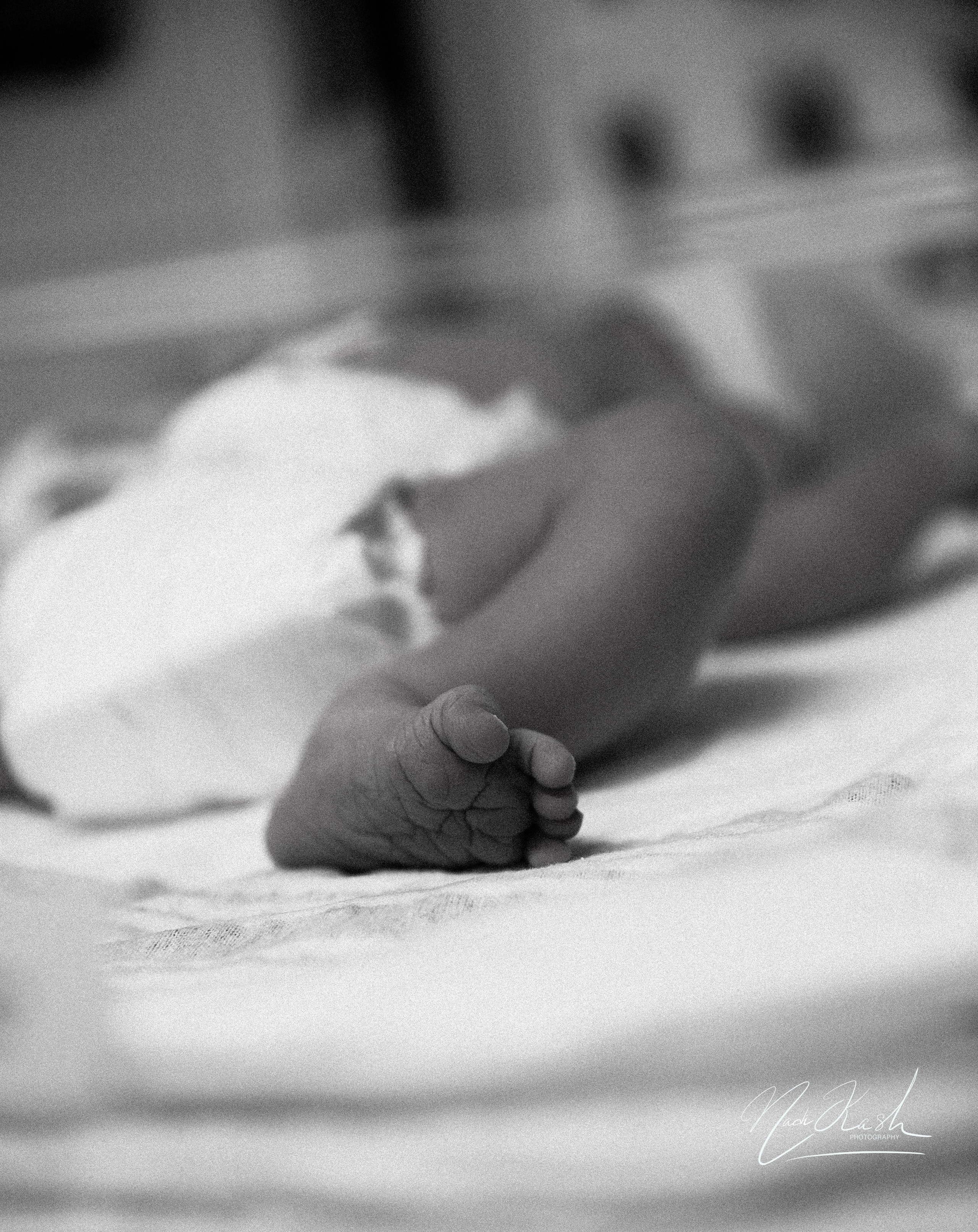 Newborn. Photographer in Miami, Family photographer, Event, Wedding