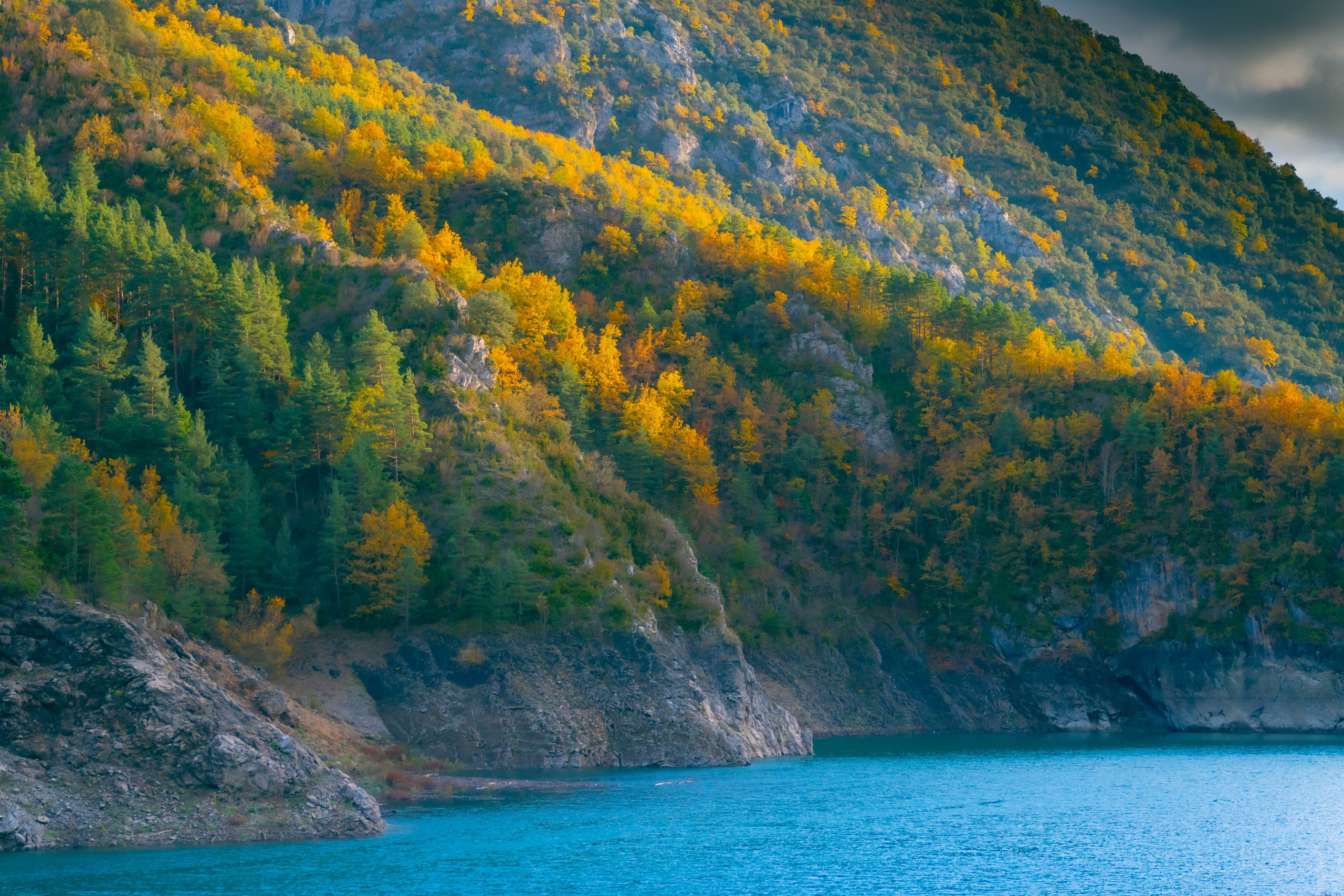 Ruta Otoño. Alba del Norte Studio