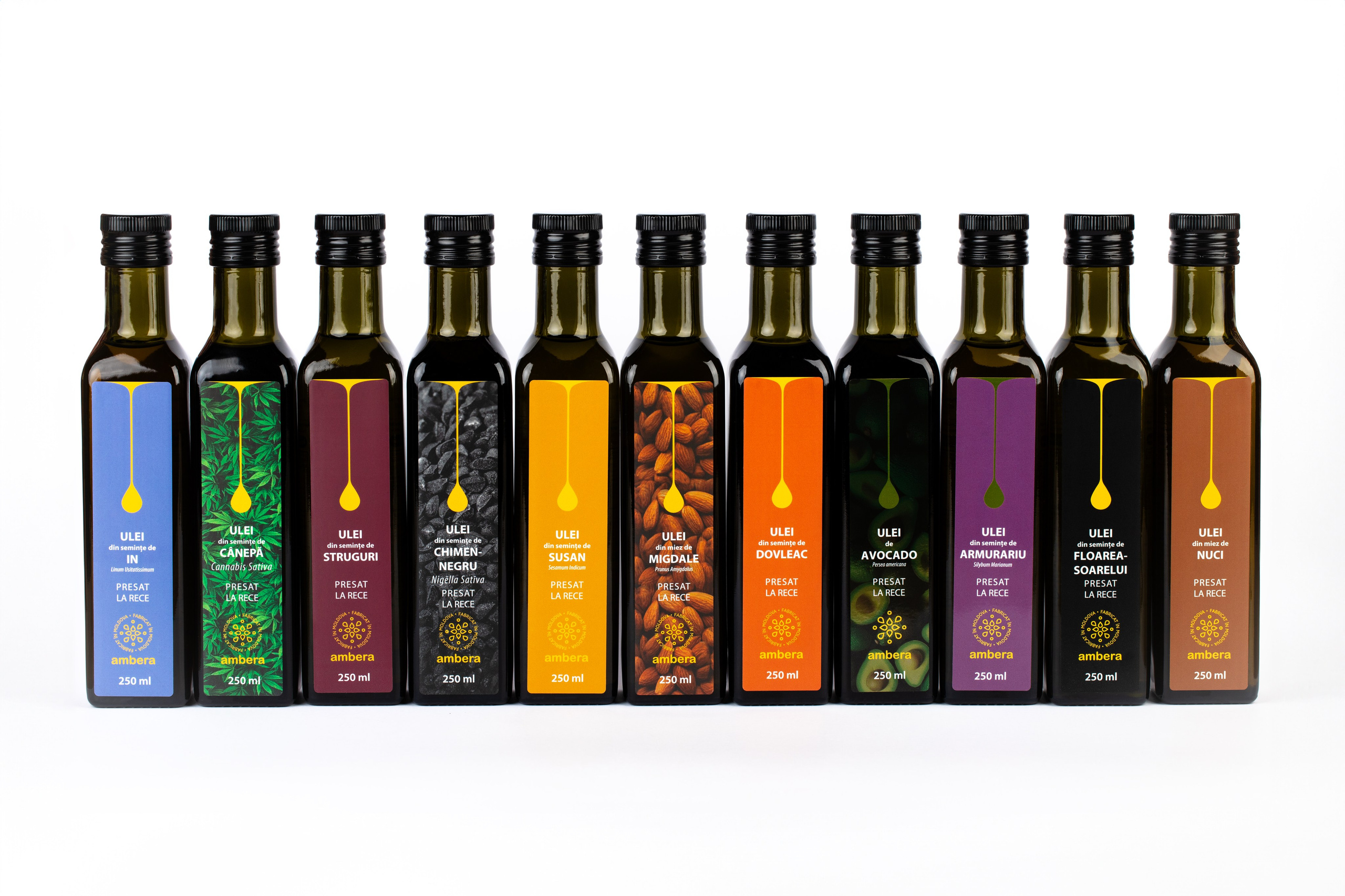 Catalog. Fotograf și Videograf | Chișinău, Moldova