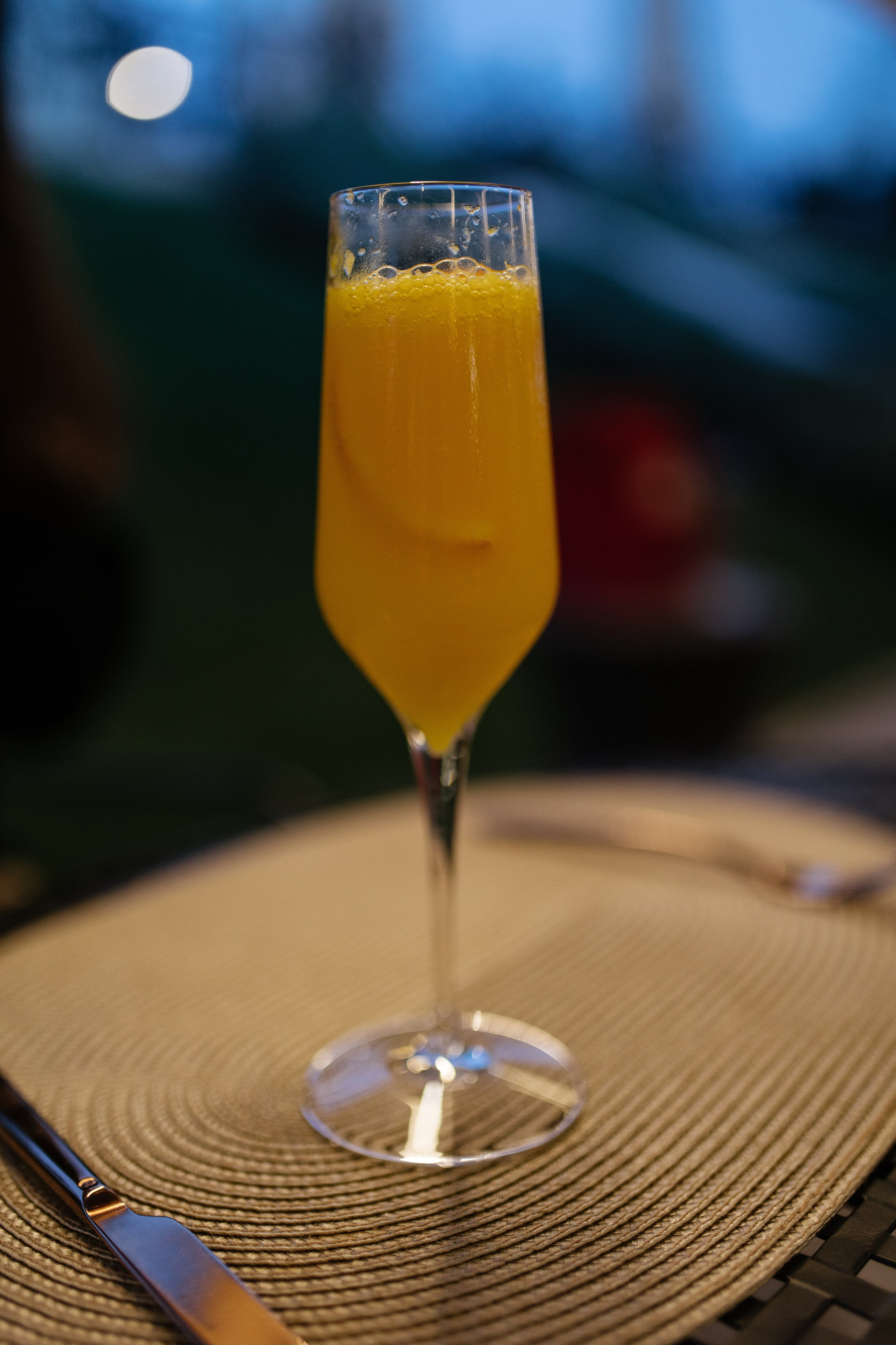 Casa Timis. Patricia Morenci — Mountain Adventures for the Wild at Heart