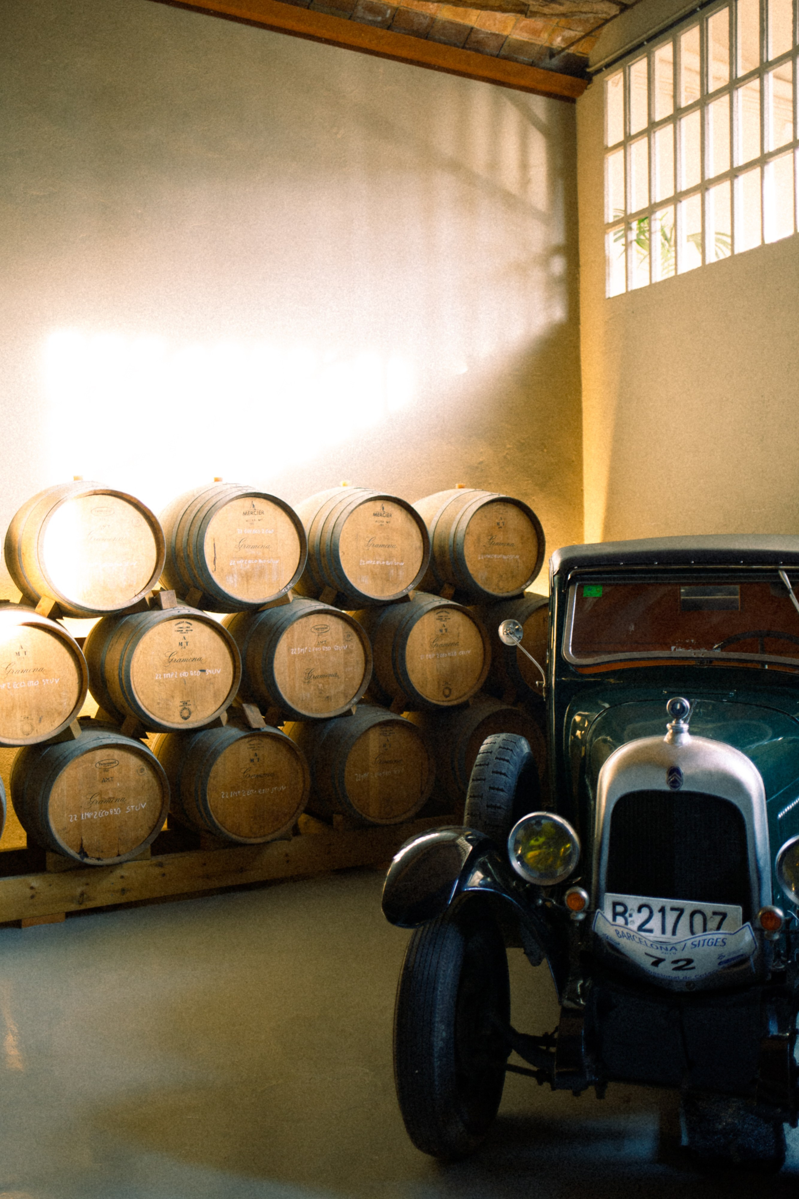 My birthday trip to the winery. Marina Kálcheva — Photographer, Videographer & Visual Artist in Barcelona