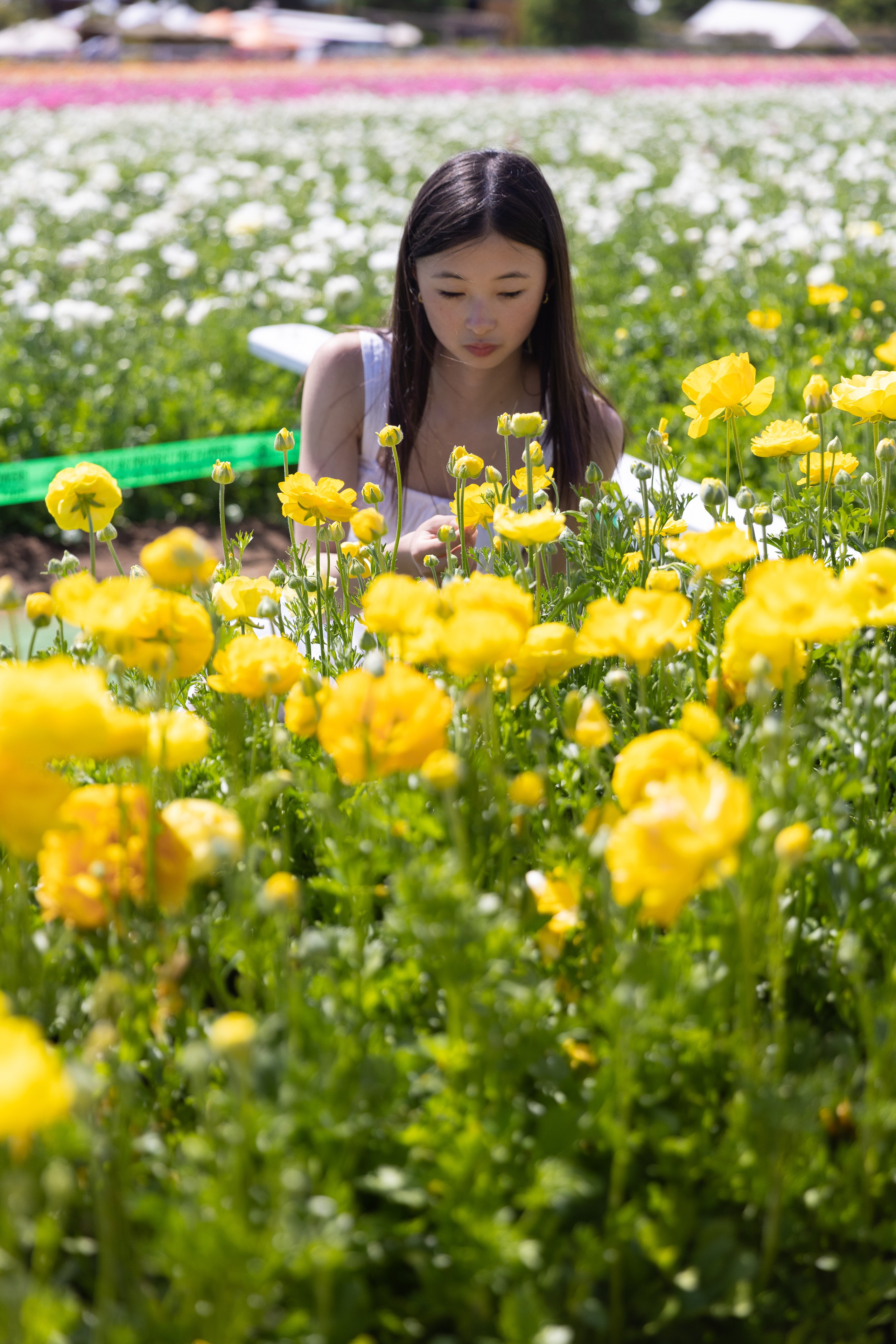 Senior Photos. Joanna Jin Photography