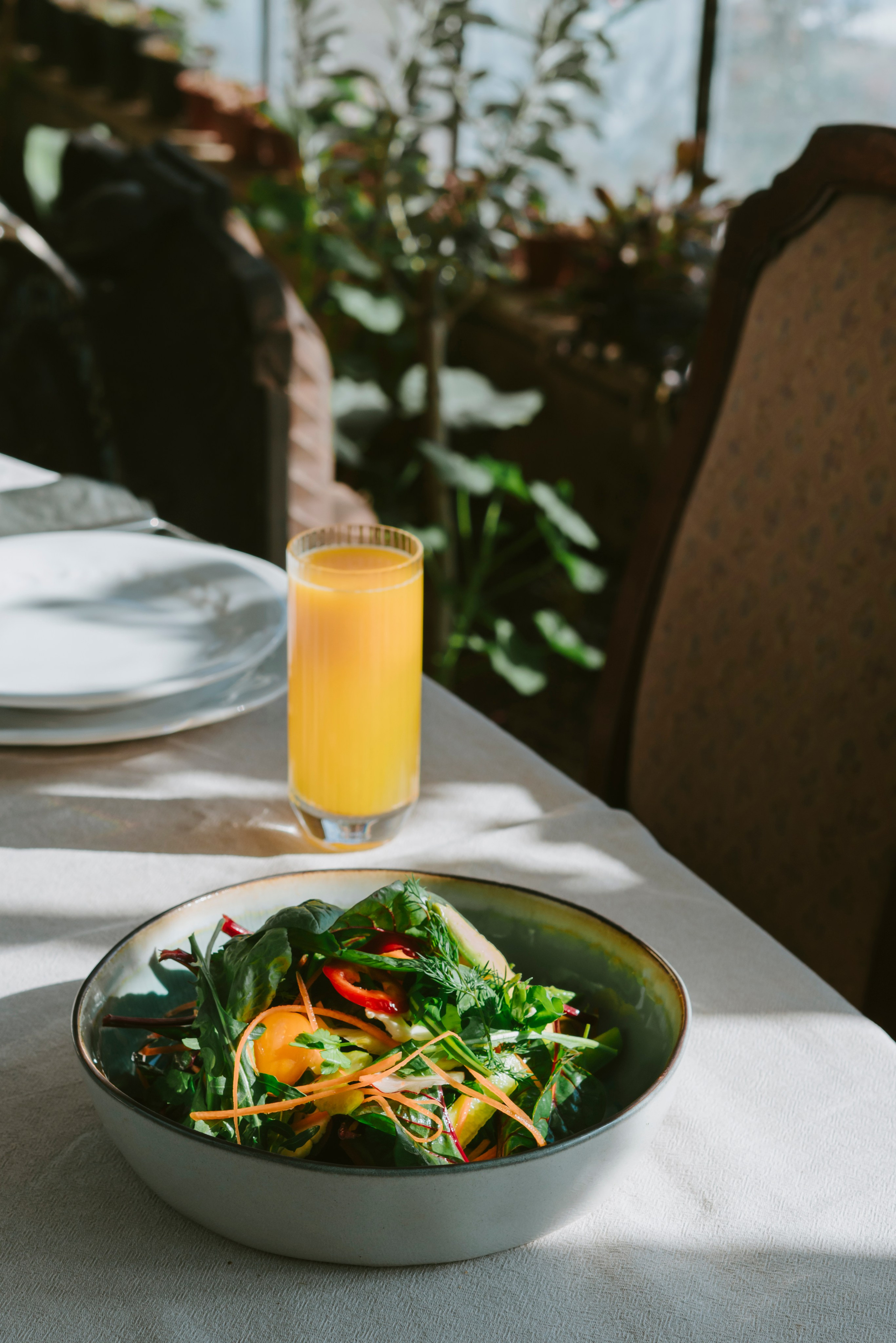 Food. Photographer and videographer for business in Tbilisi Catrine Poznyak