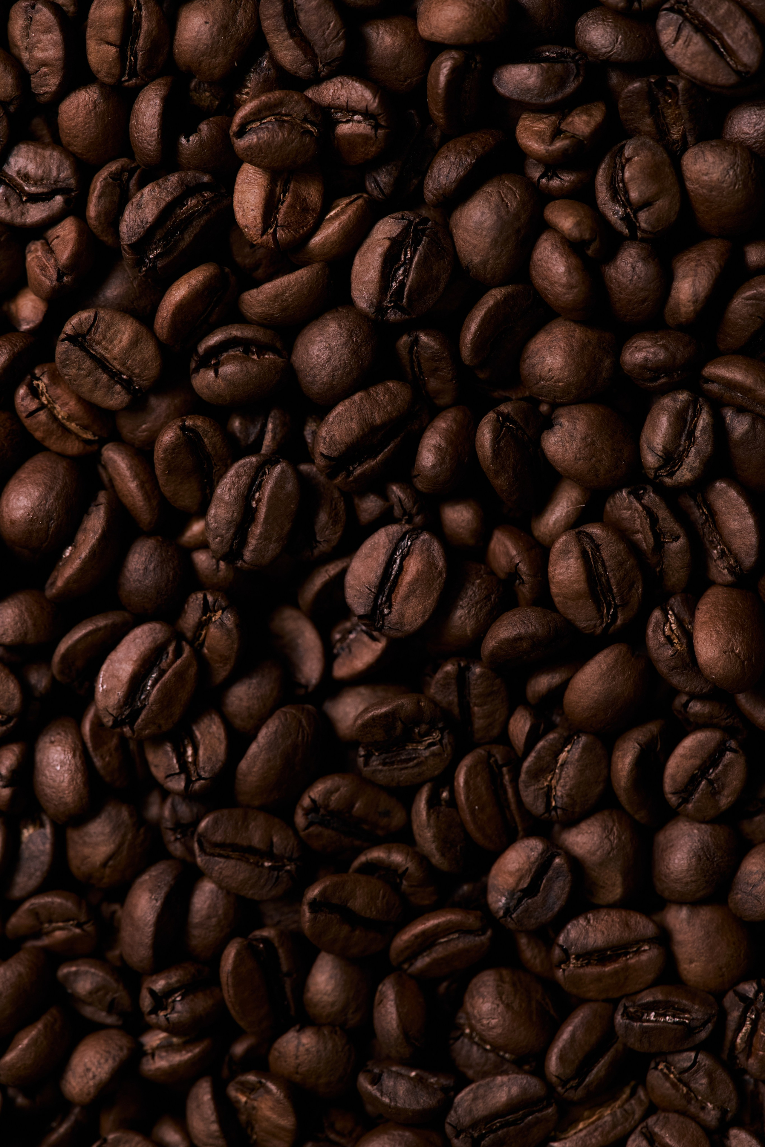 Food. Photographer and videographer for business in Tbilisi Catrine Poznyak