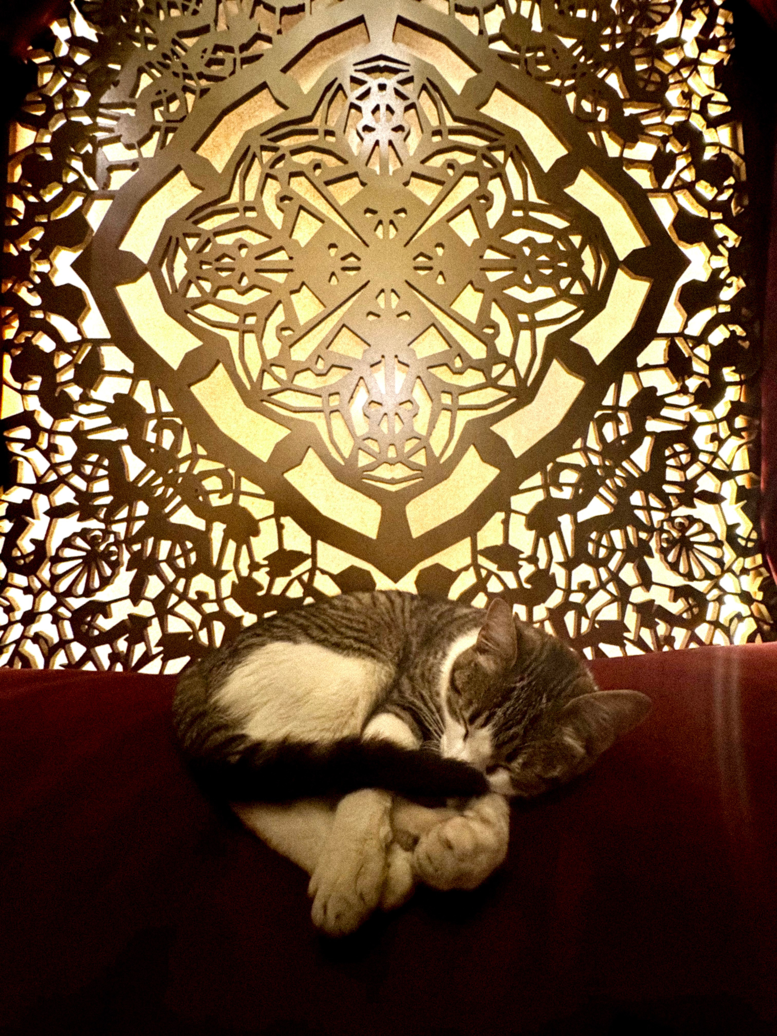 Marocco. BNW Around Photography