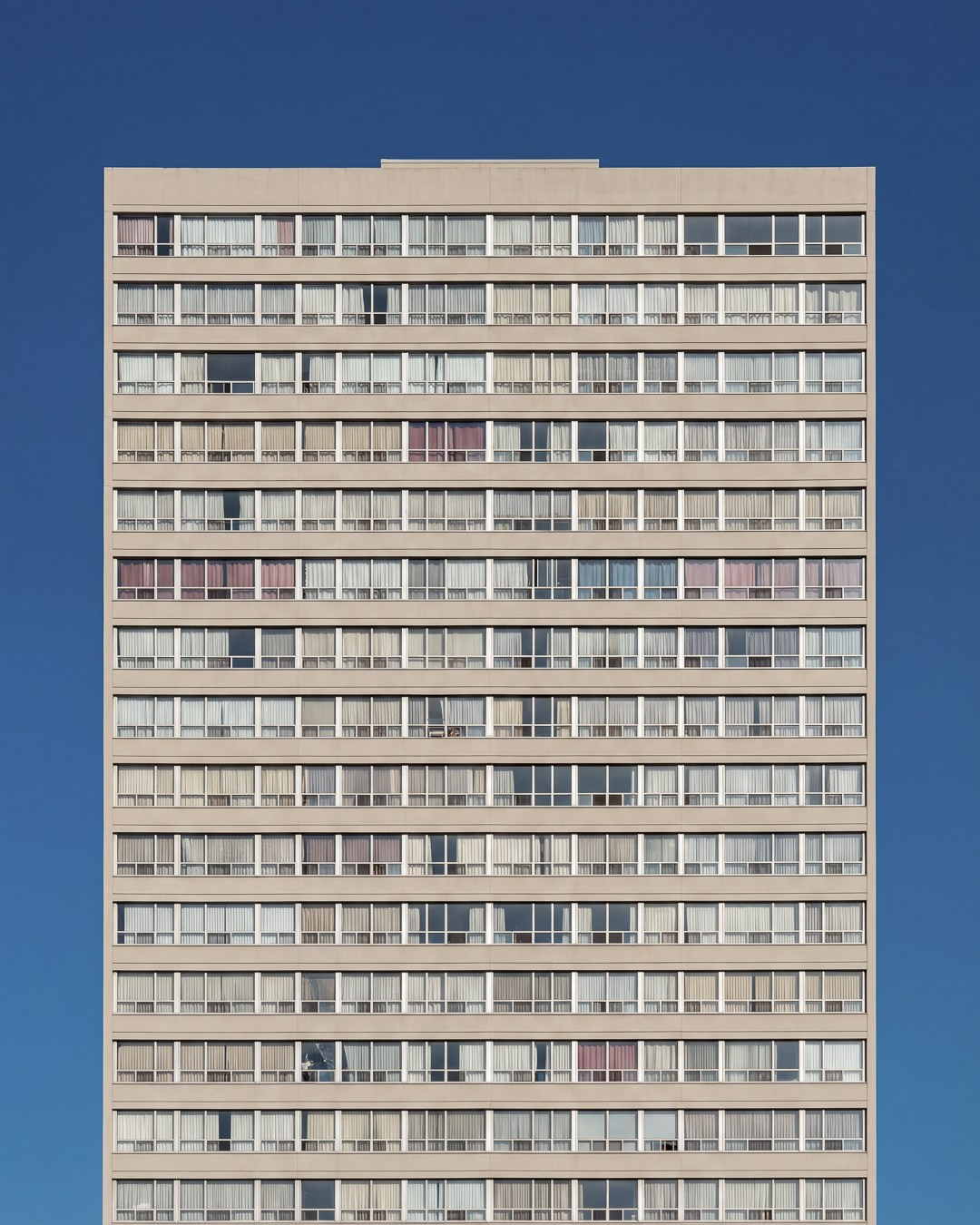 Film Grain Co. Volume 1