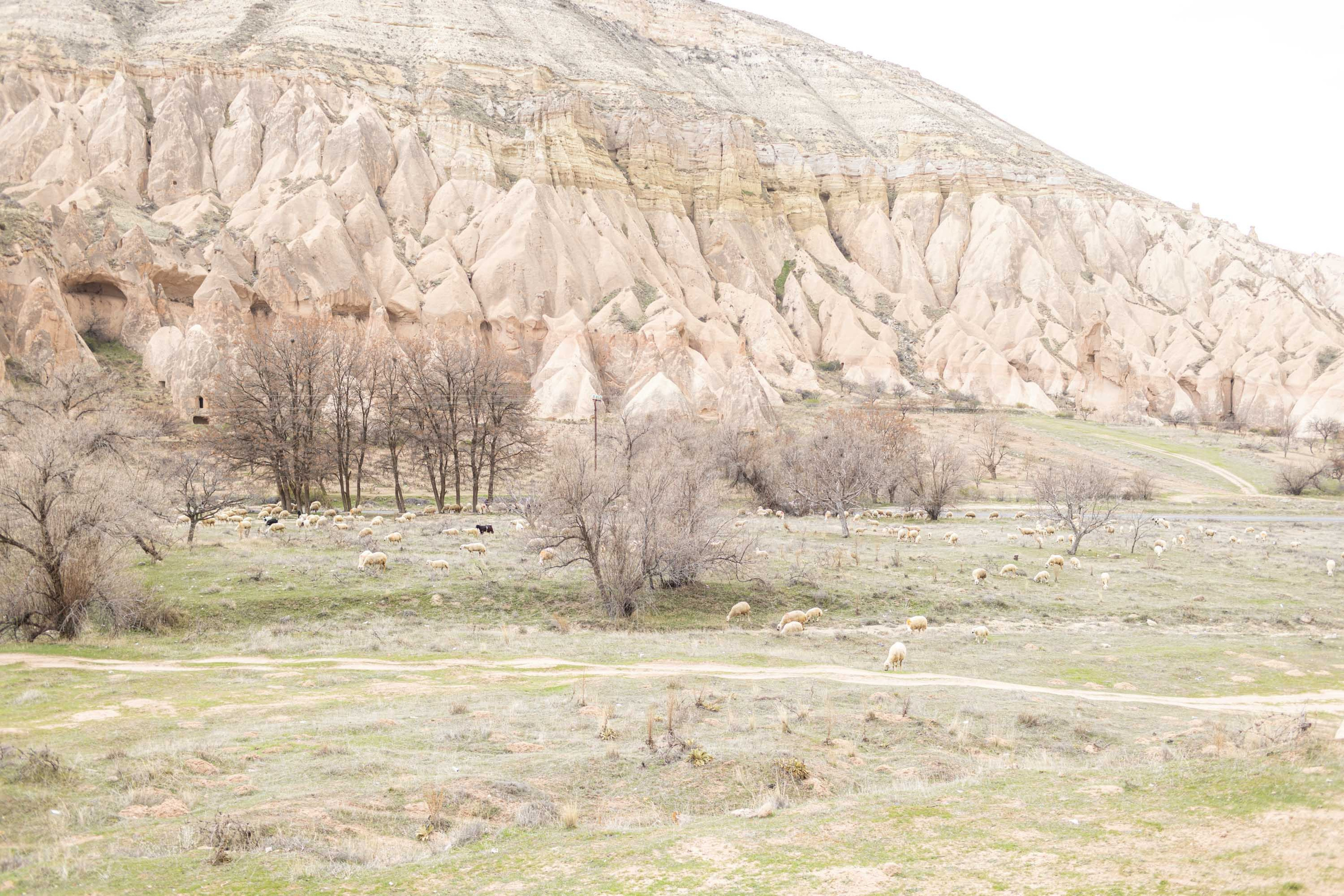 Stylish Photoshoot in the Charming Streets and Valleys of Cappadocia. Julia Ganch I Fashion Wedding Photography I Cappadocia Turkey