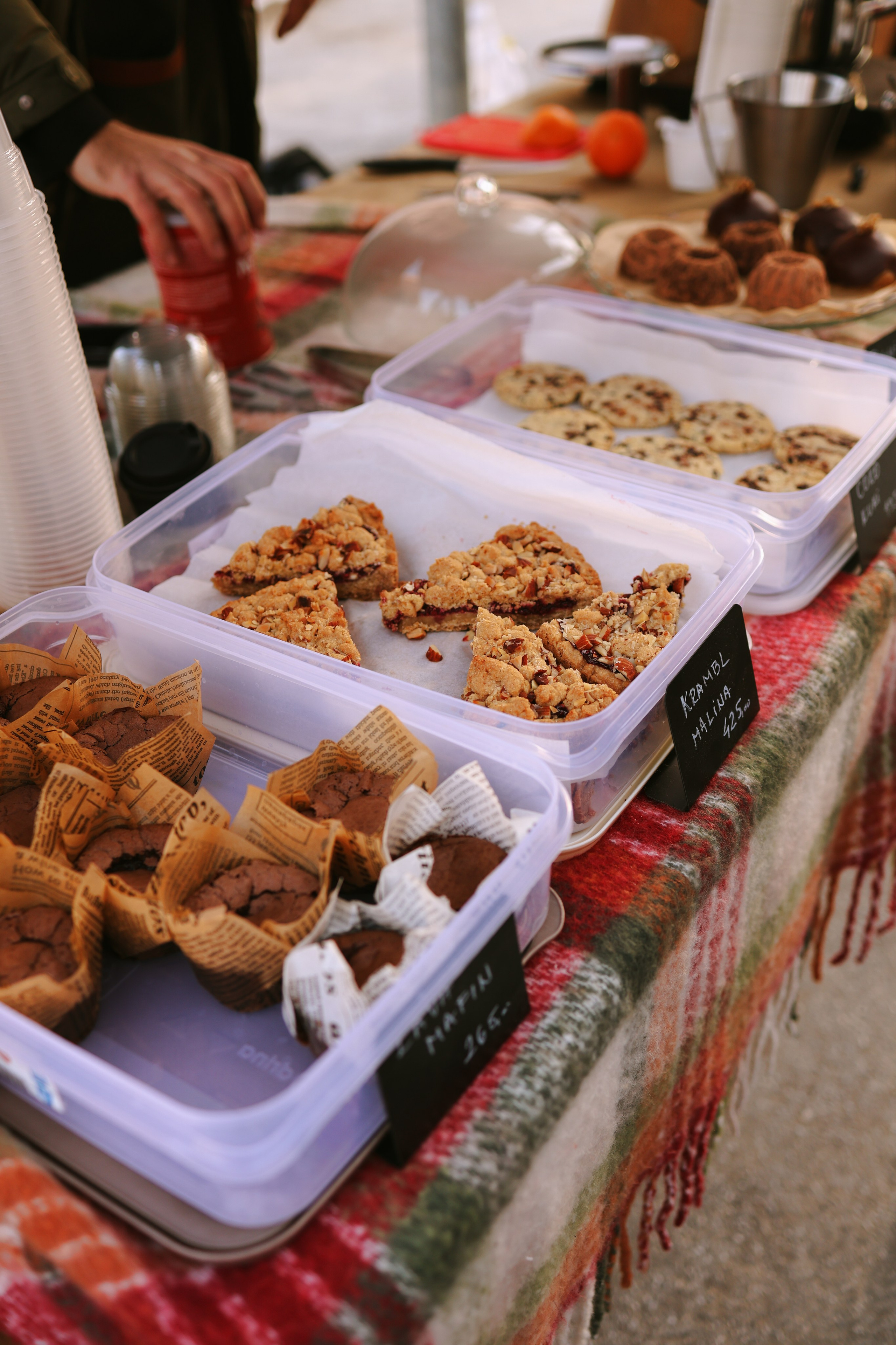 Sunnyville Zimski festival. Marizella Photography