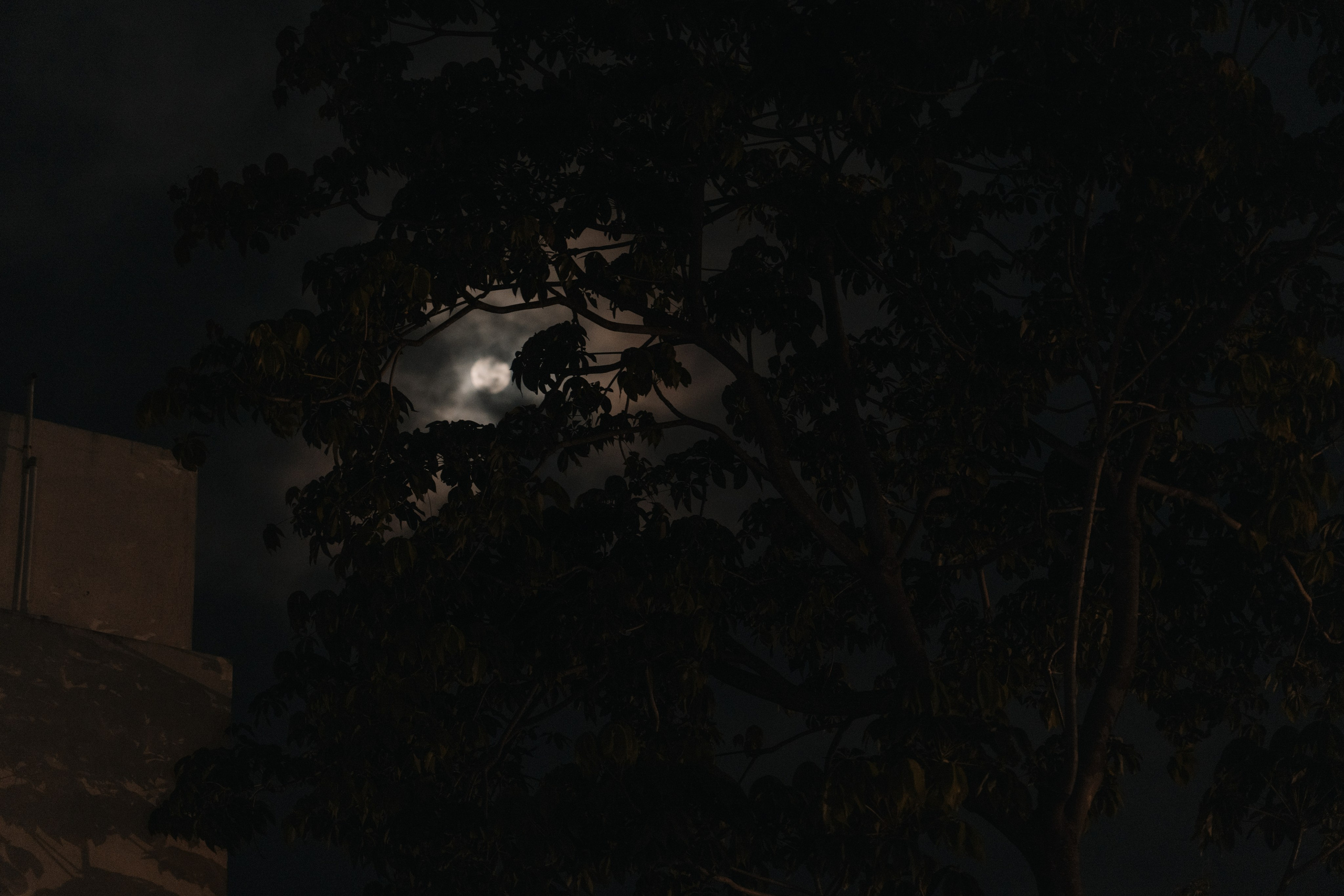 Sagaya & Rakesh. Agam Vizha