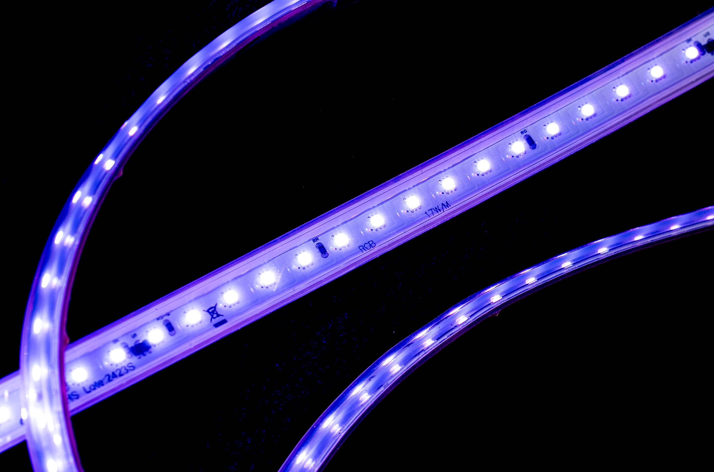 LED Lights. Baby Beast