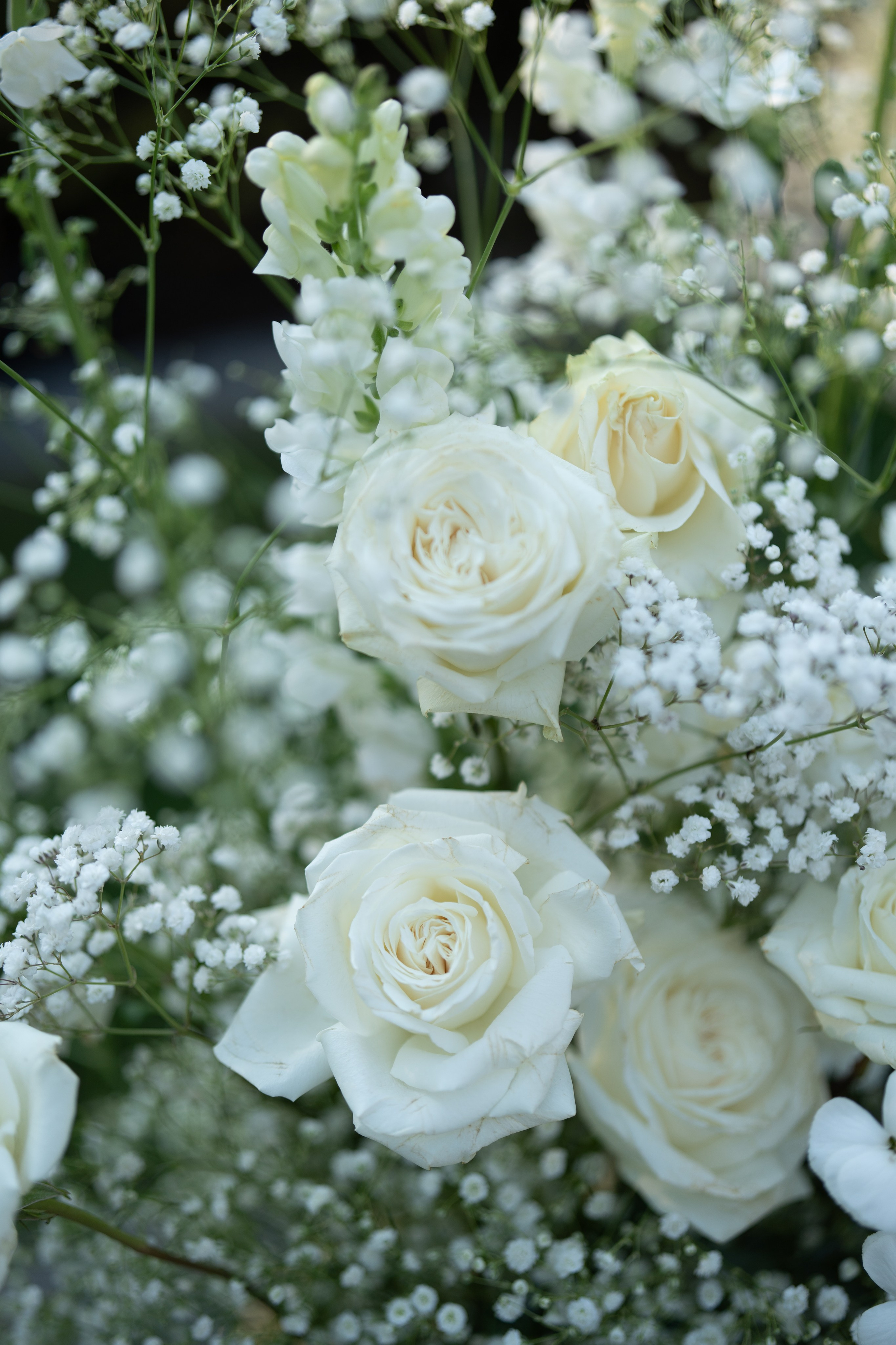 Caroline & Joh wedding day. Anna Krasnova Wedding photographer