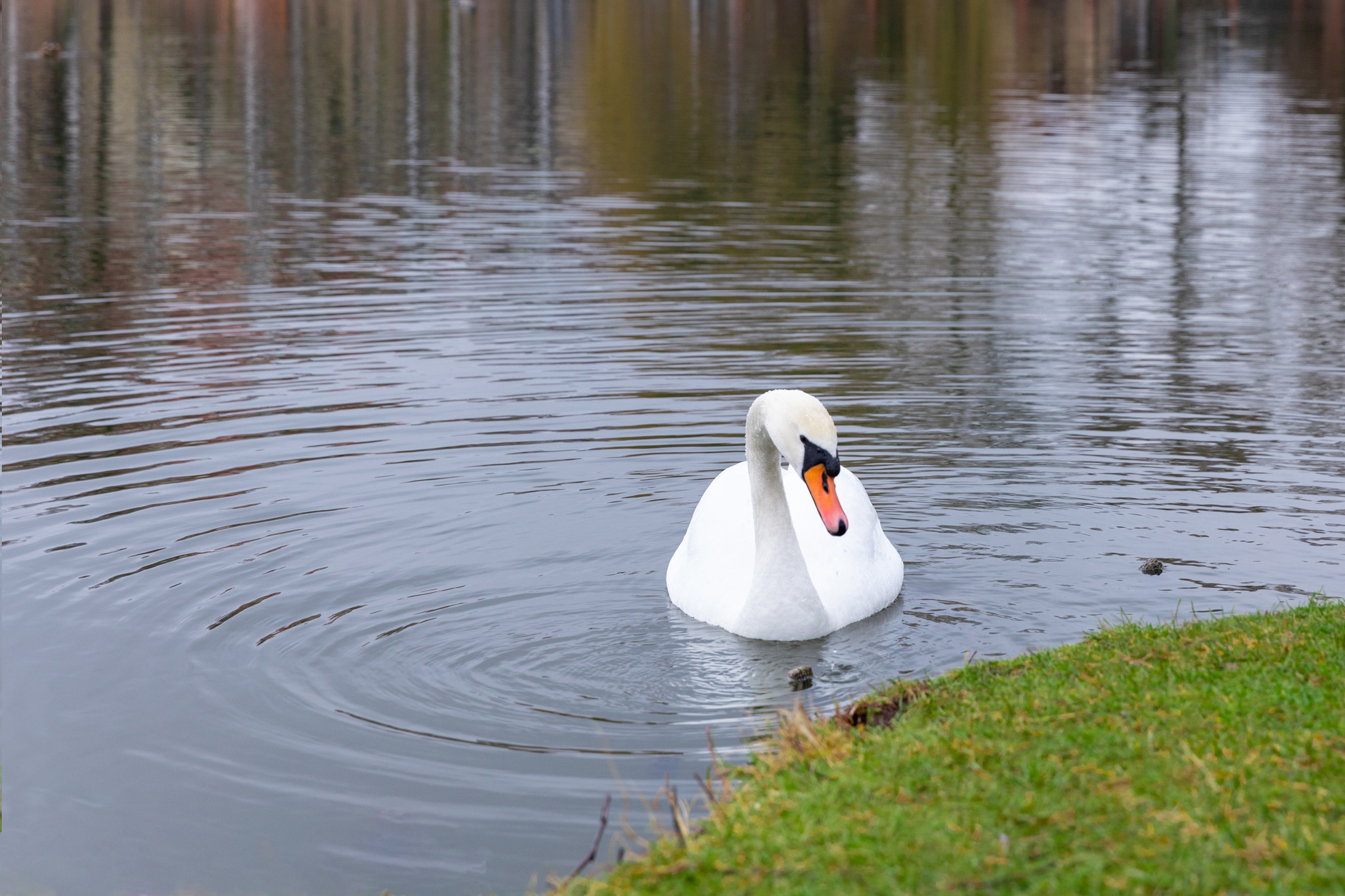 Myszadło. Fotograf Nieruchomości i Wnętrz