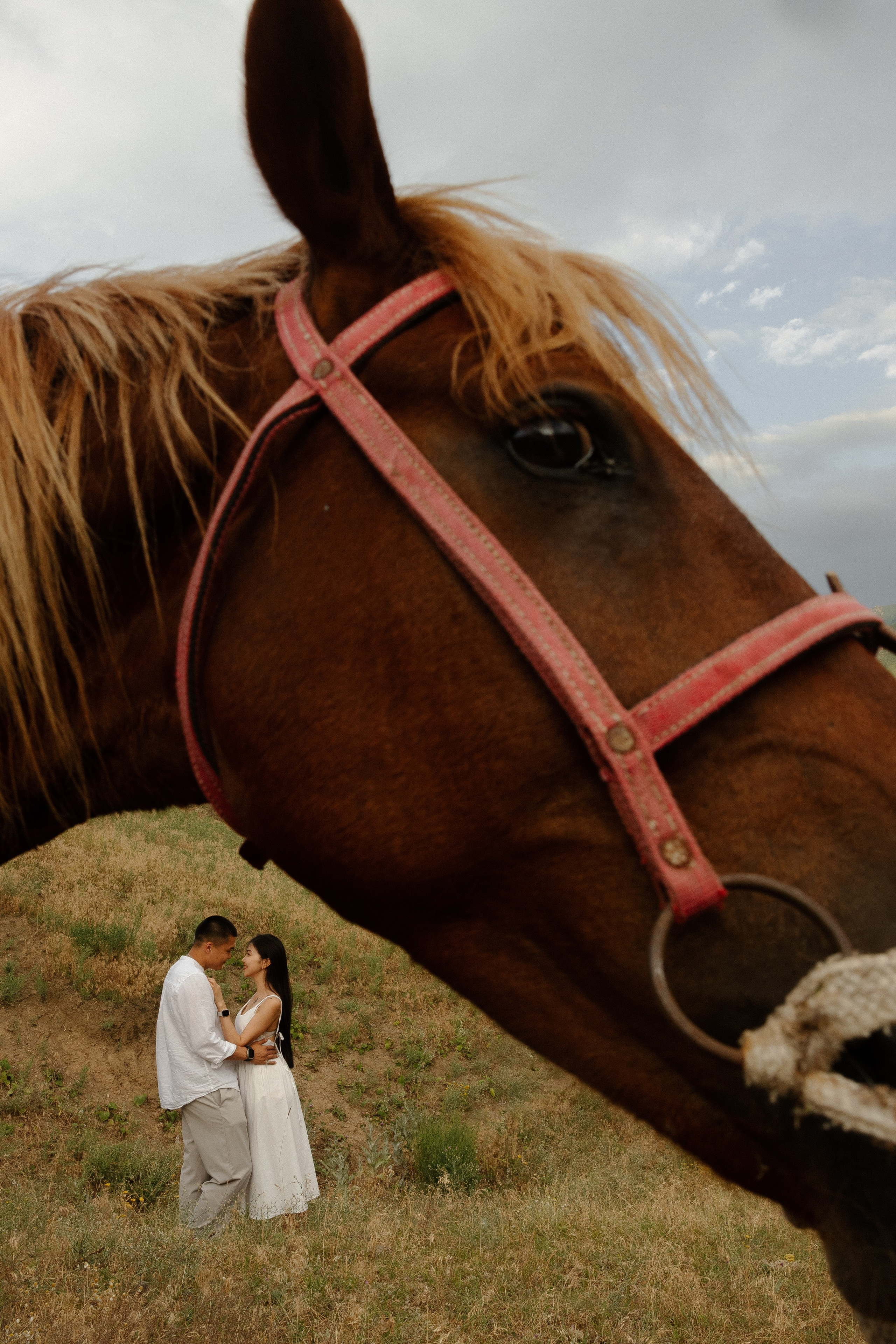 Самат и Айжан. Азимжан Нуритдинходжаев — свадебный фотограф