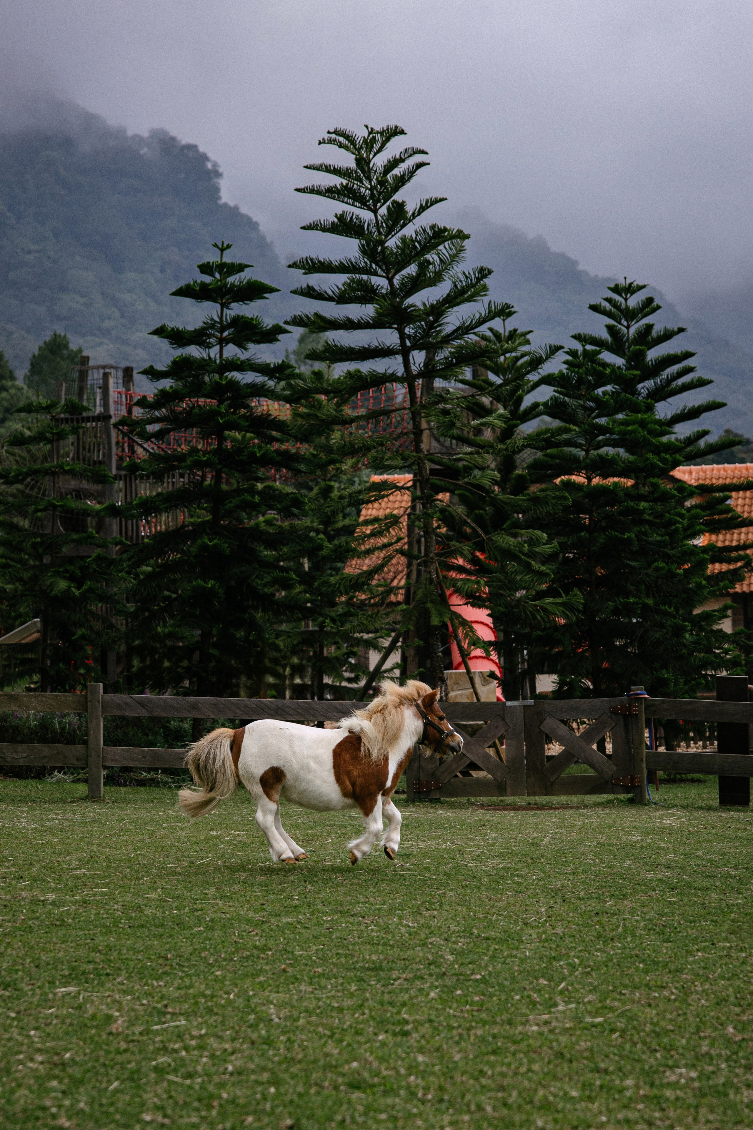 North trip. Профессиональный фотограф Нурмиева Вероника