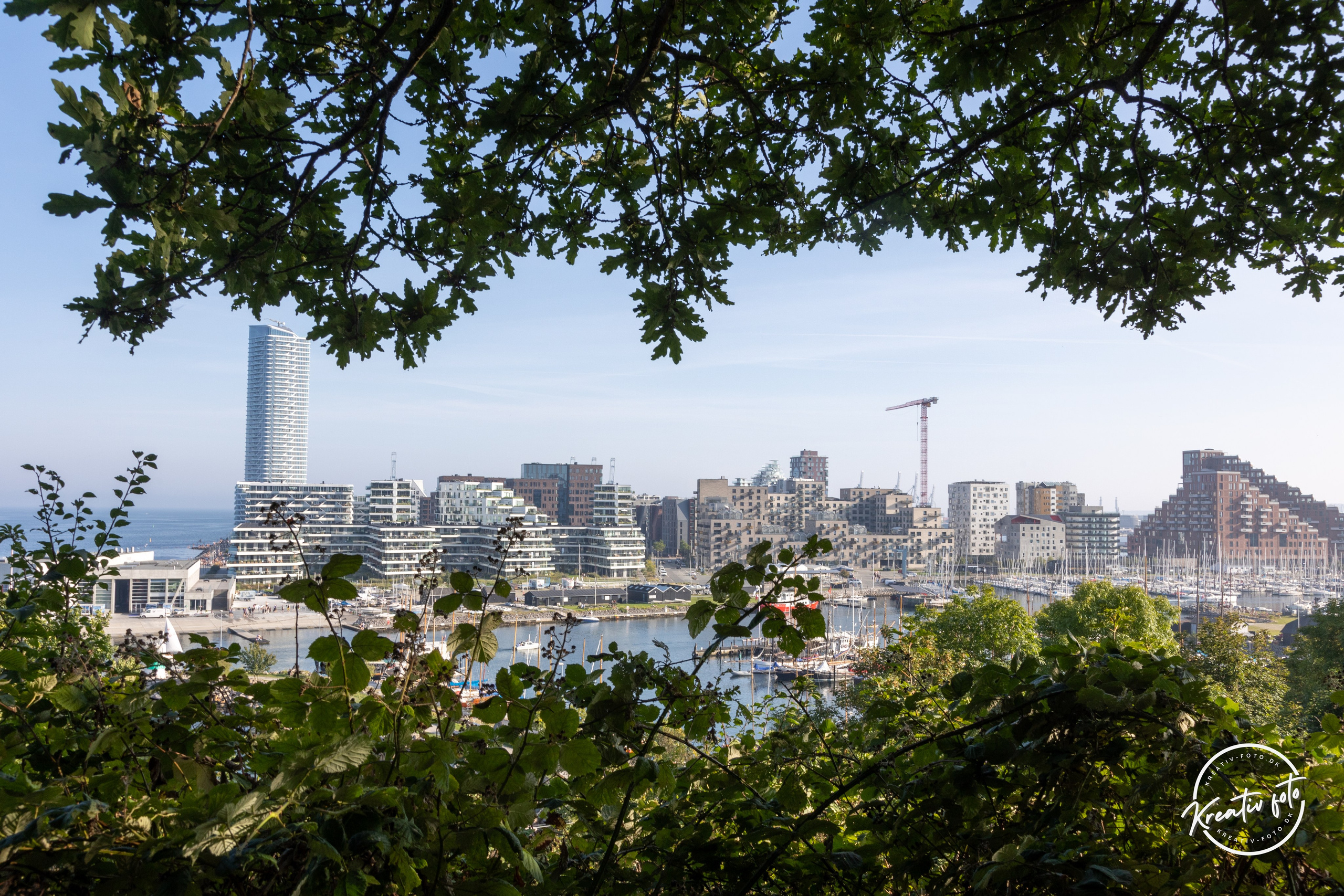 Sommer. Fotograf Aarhus | Portrætfoto Århus | Flotte billeder