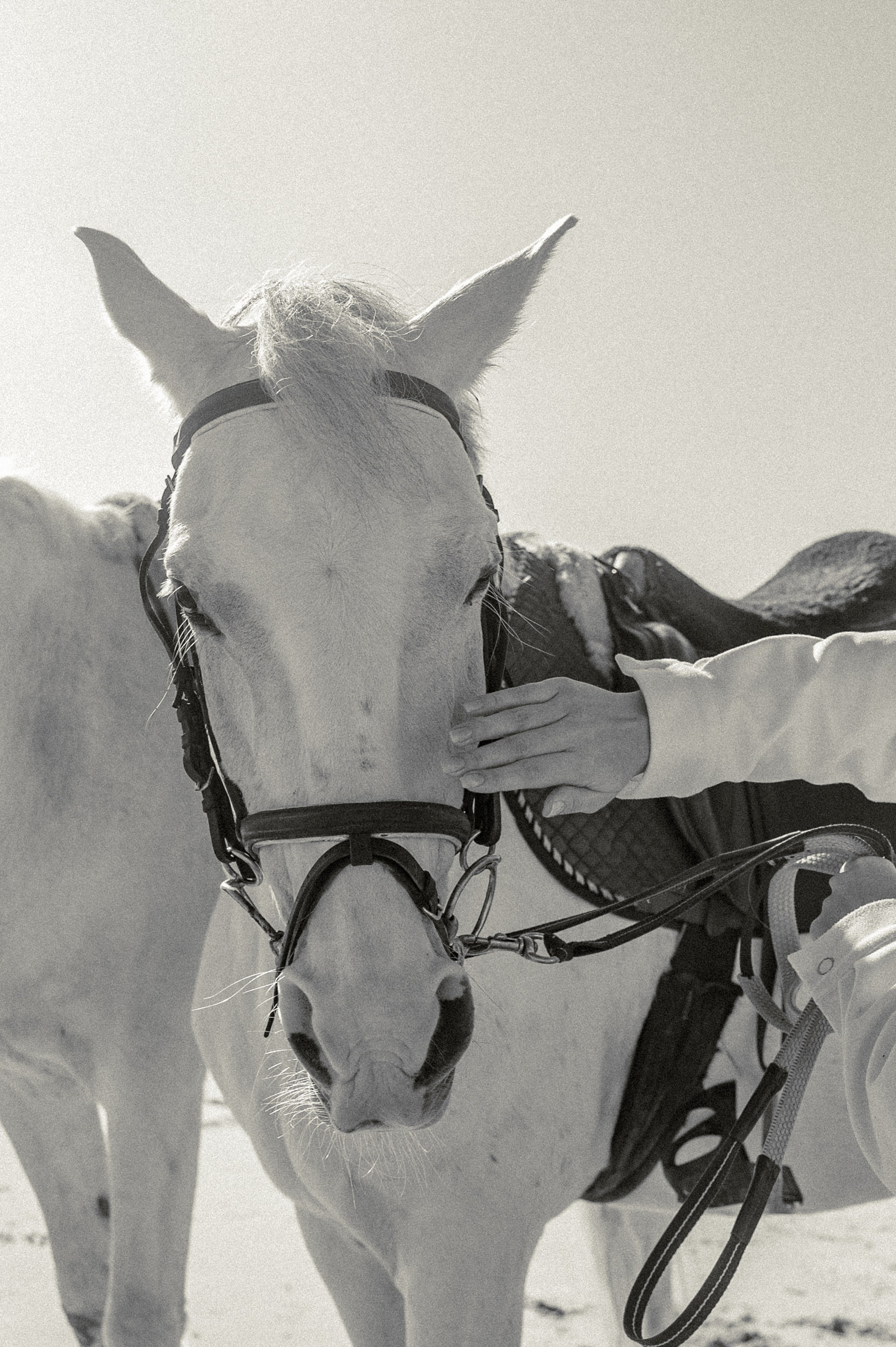 Dream. Wedding and commercial photographer