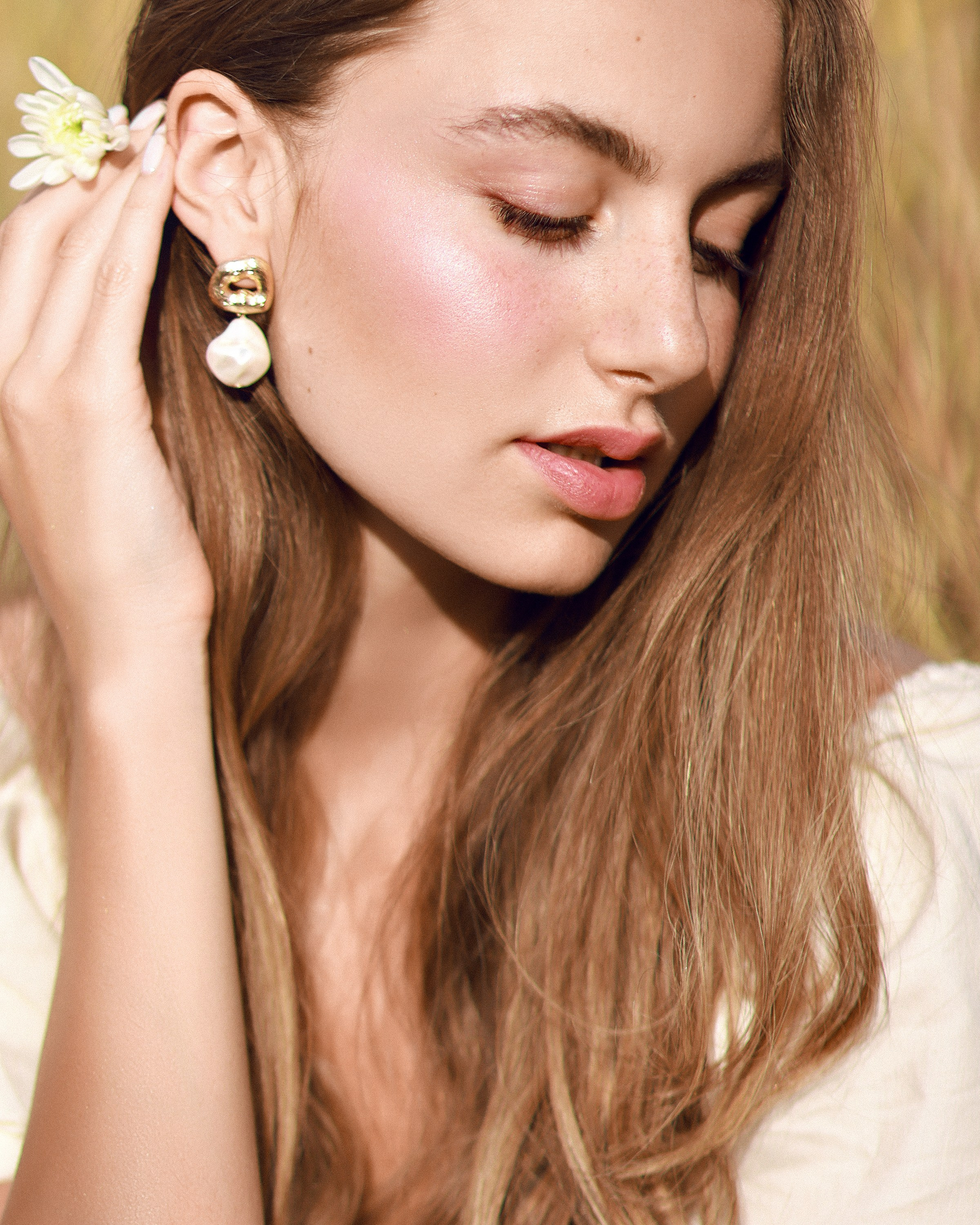 Diana Olive Tree. Dana