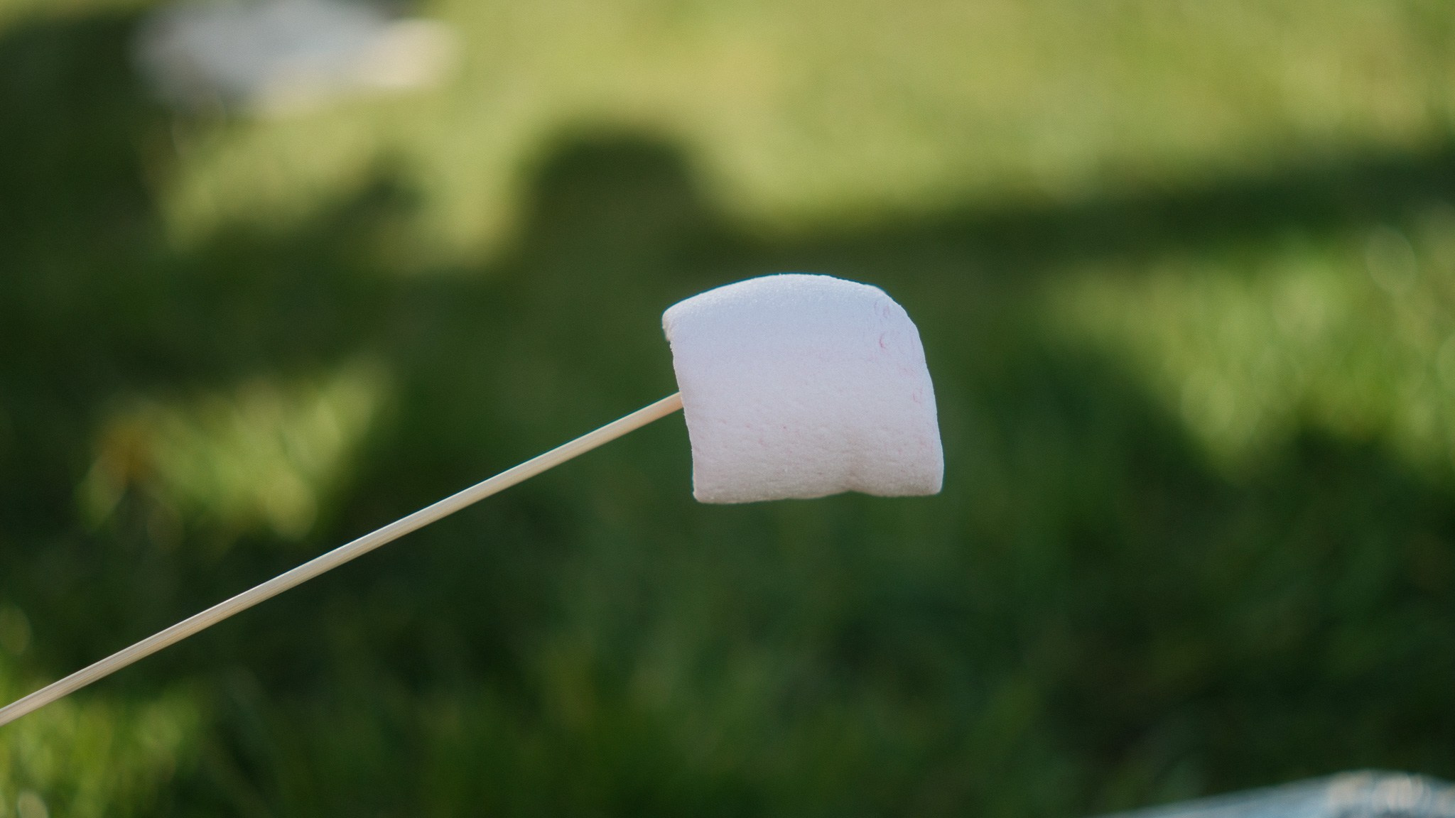 Wales Road Trip 2026. Callum Ecobichon