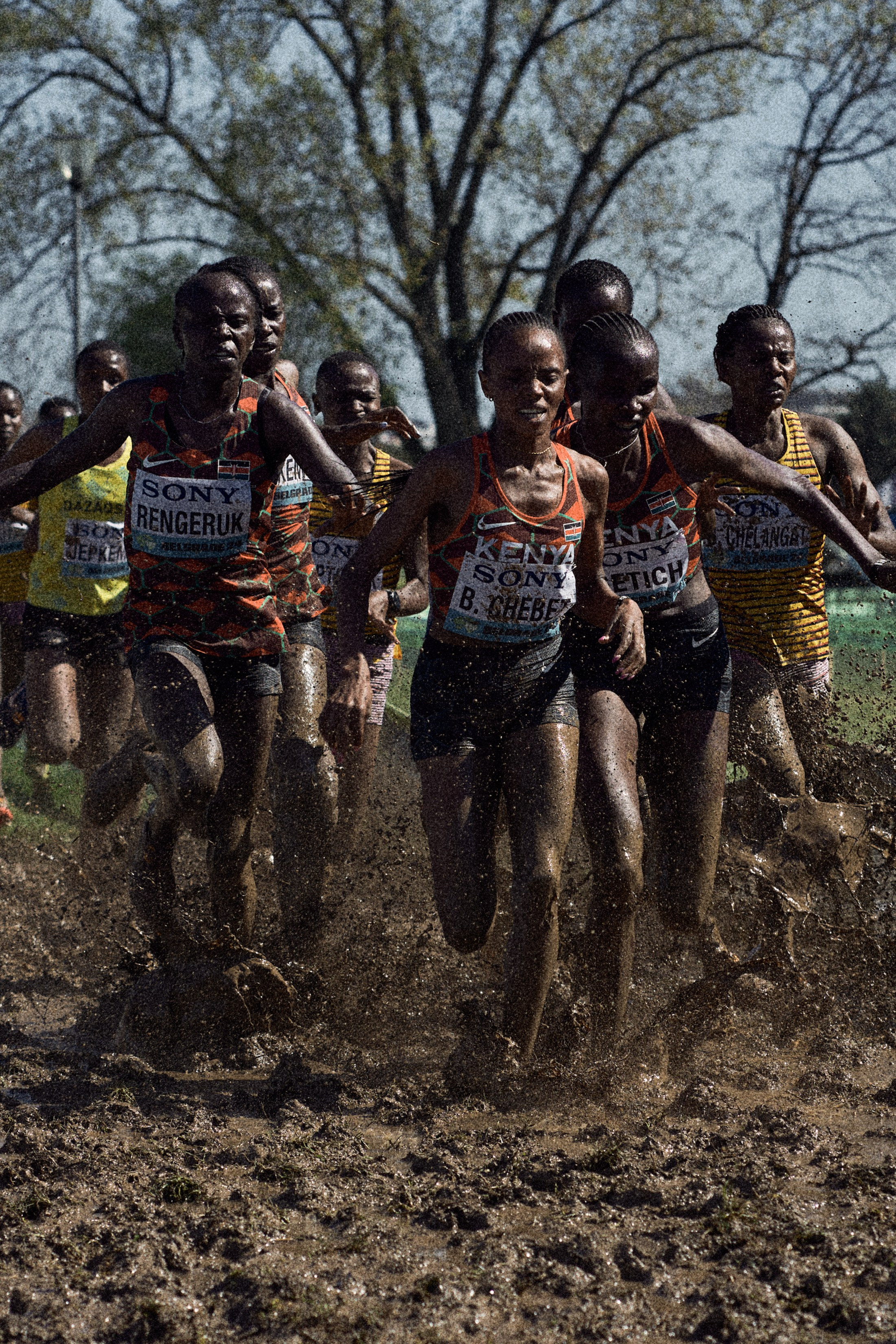 Cross Country Championship 2024 #running. Photographer Evgeniya Dovgalyuk
