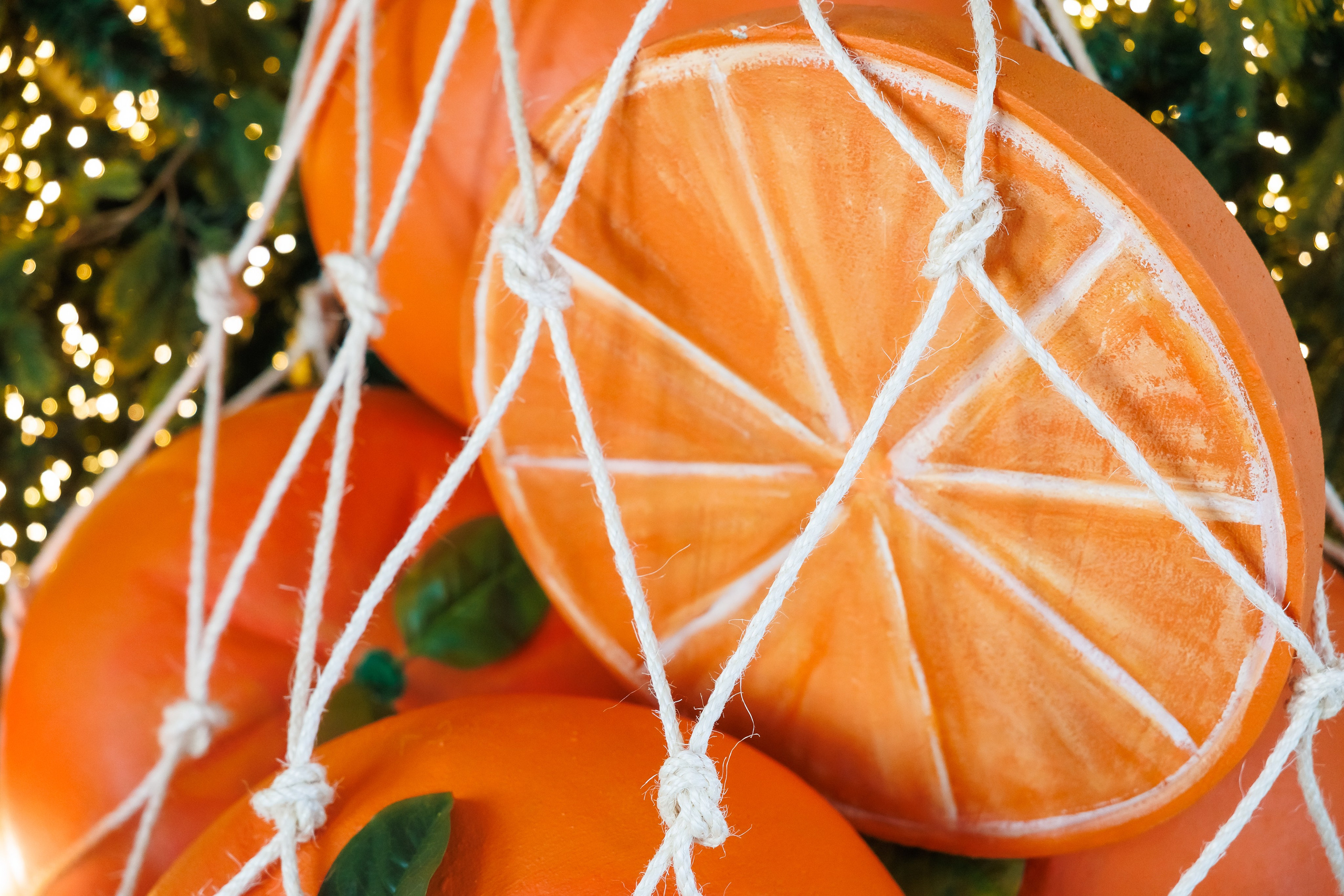 Коледа 2025 №3. Фотограф Ирина Йотова