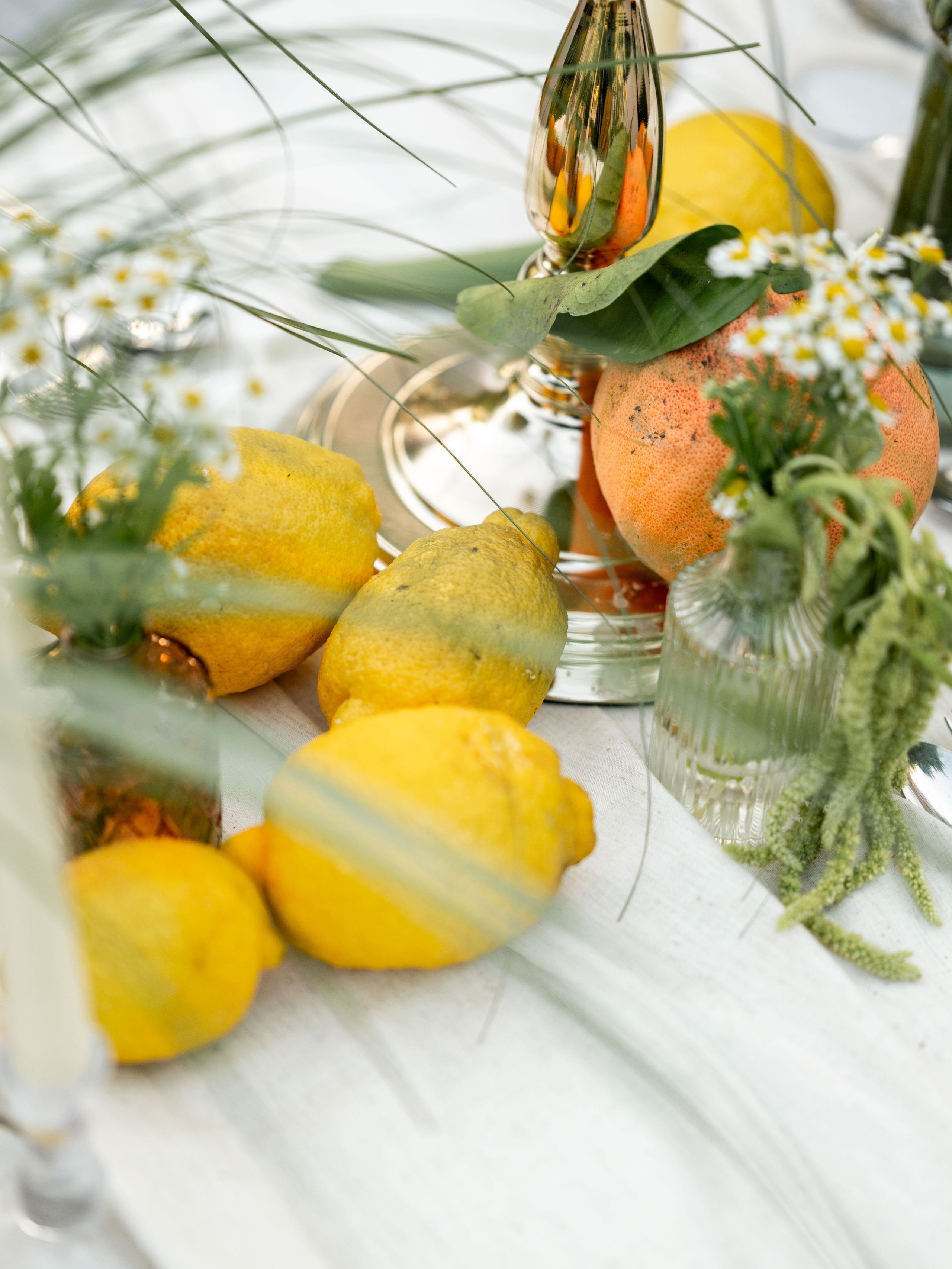 Guimarães Wedding Photographer | Fica. Portugal Wedding Photographer | Fica