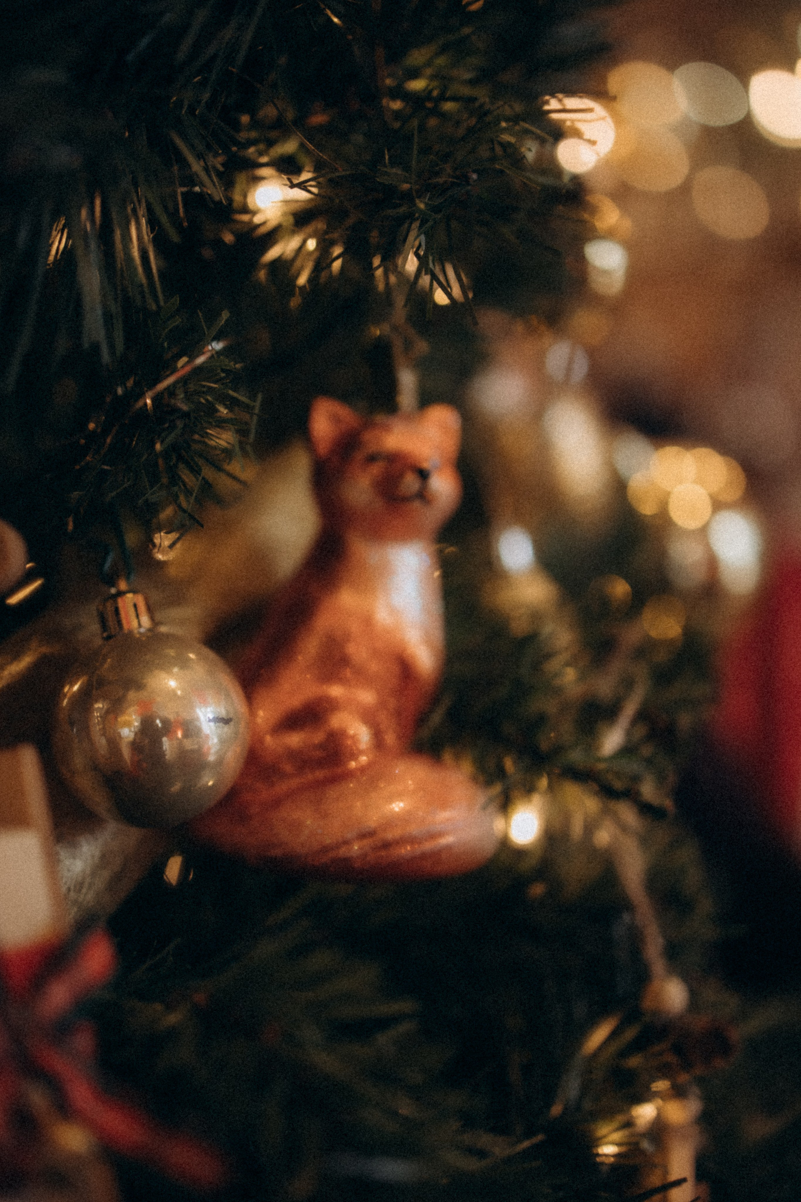 Séances Noël. Семейный фотограф во Франции (Мец, Люксембург)