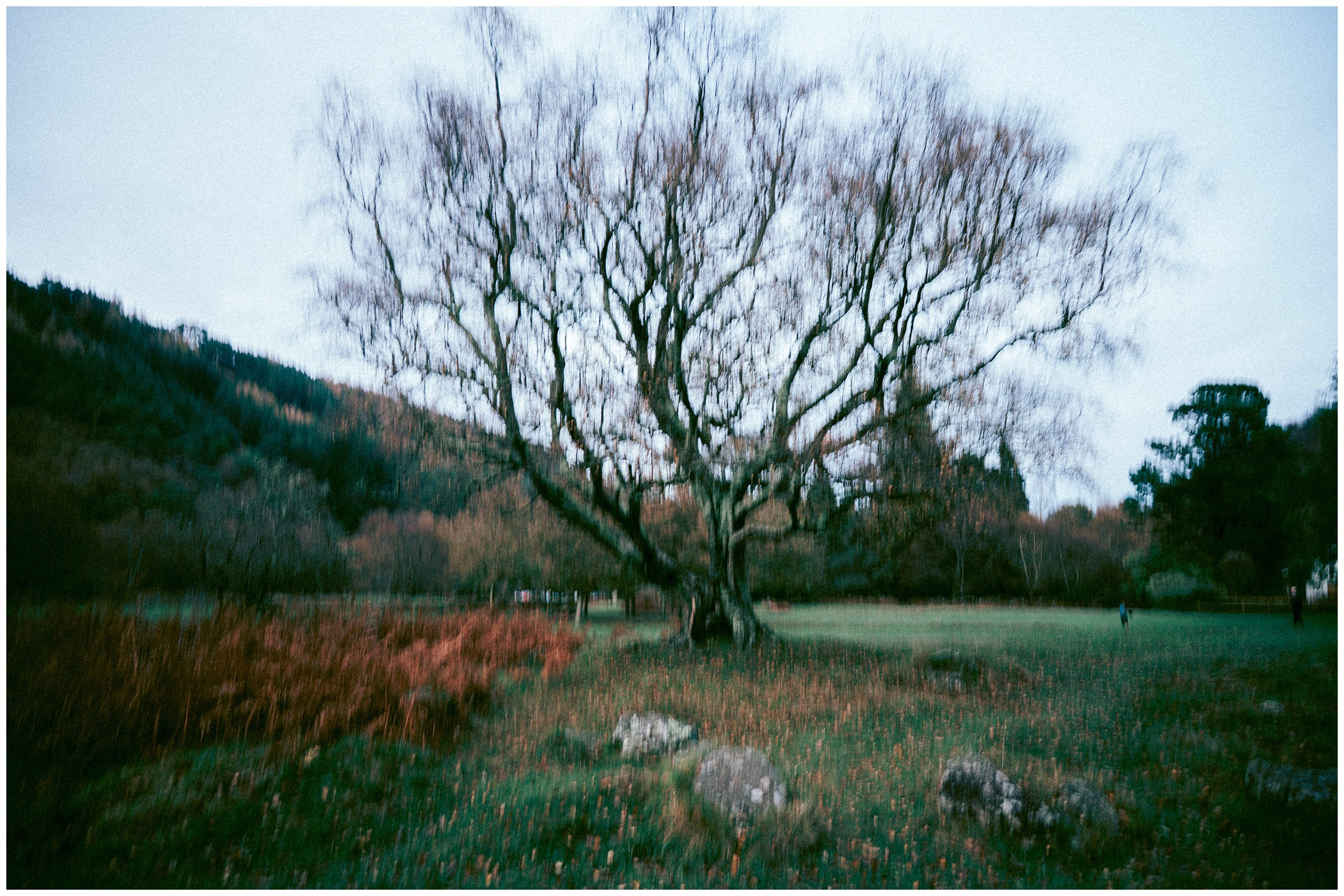 IRELAND. Inna Mendelson — Photographer