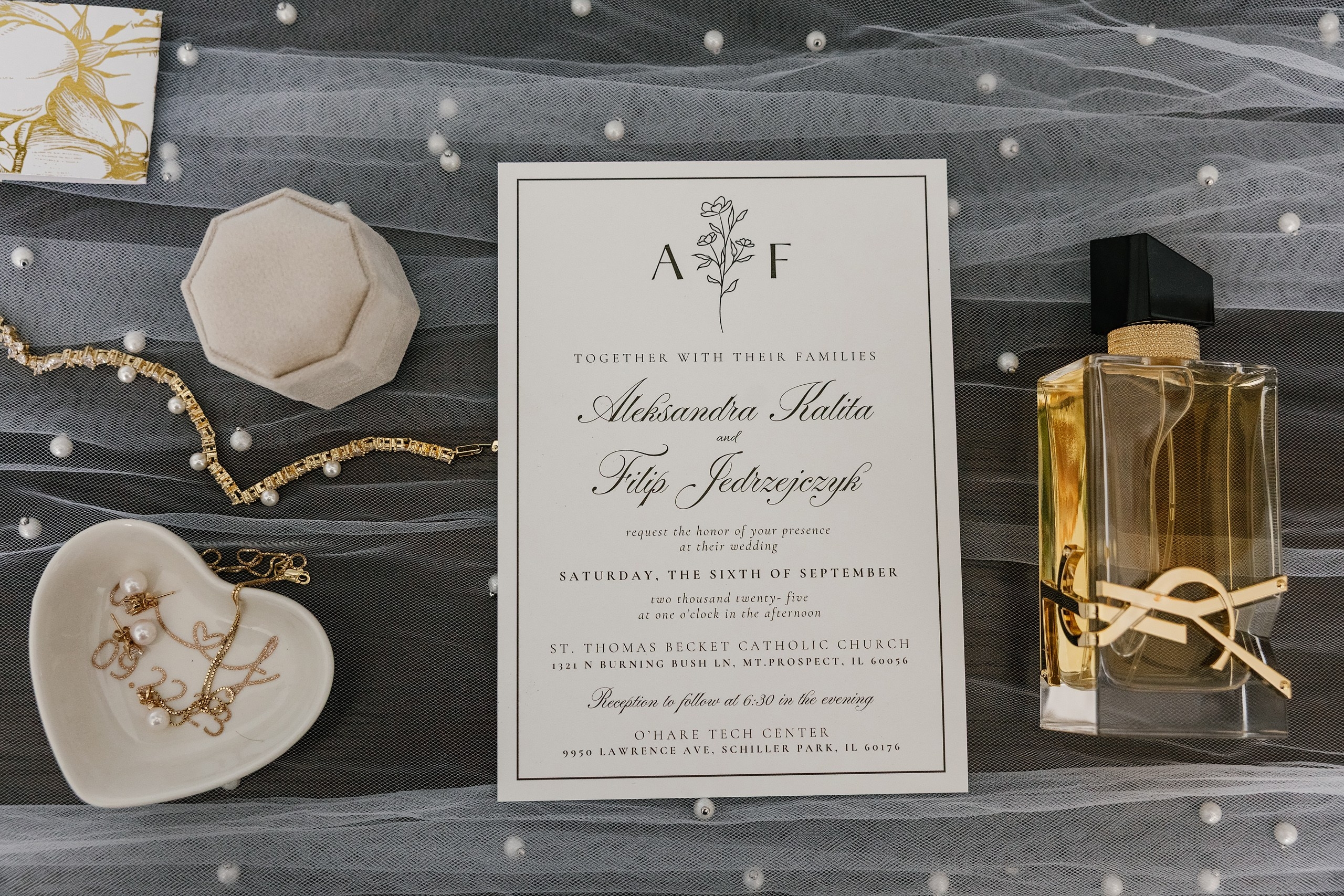 09.06.2025 Wedding. Wedding family event photographer in Chicago Nick Yushevich