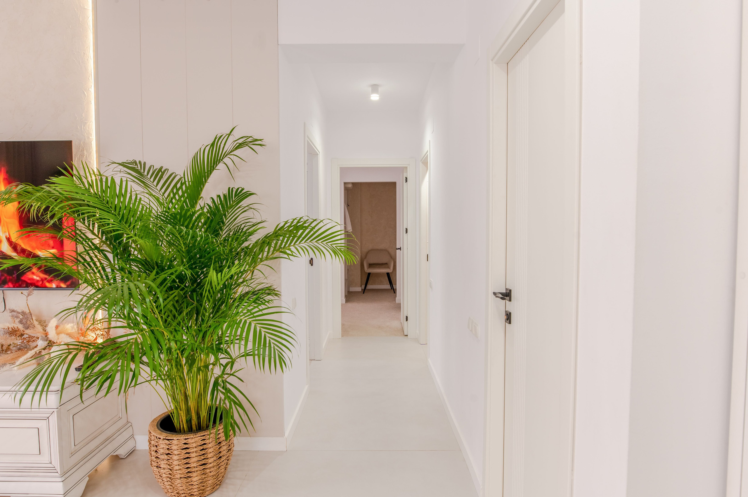 Proiecte Imobiliare. Iustin Olariu Films