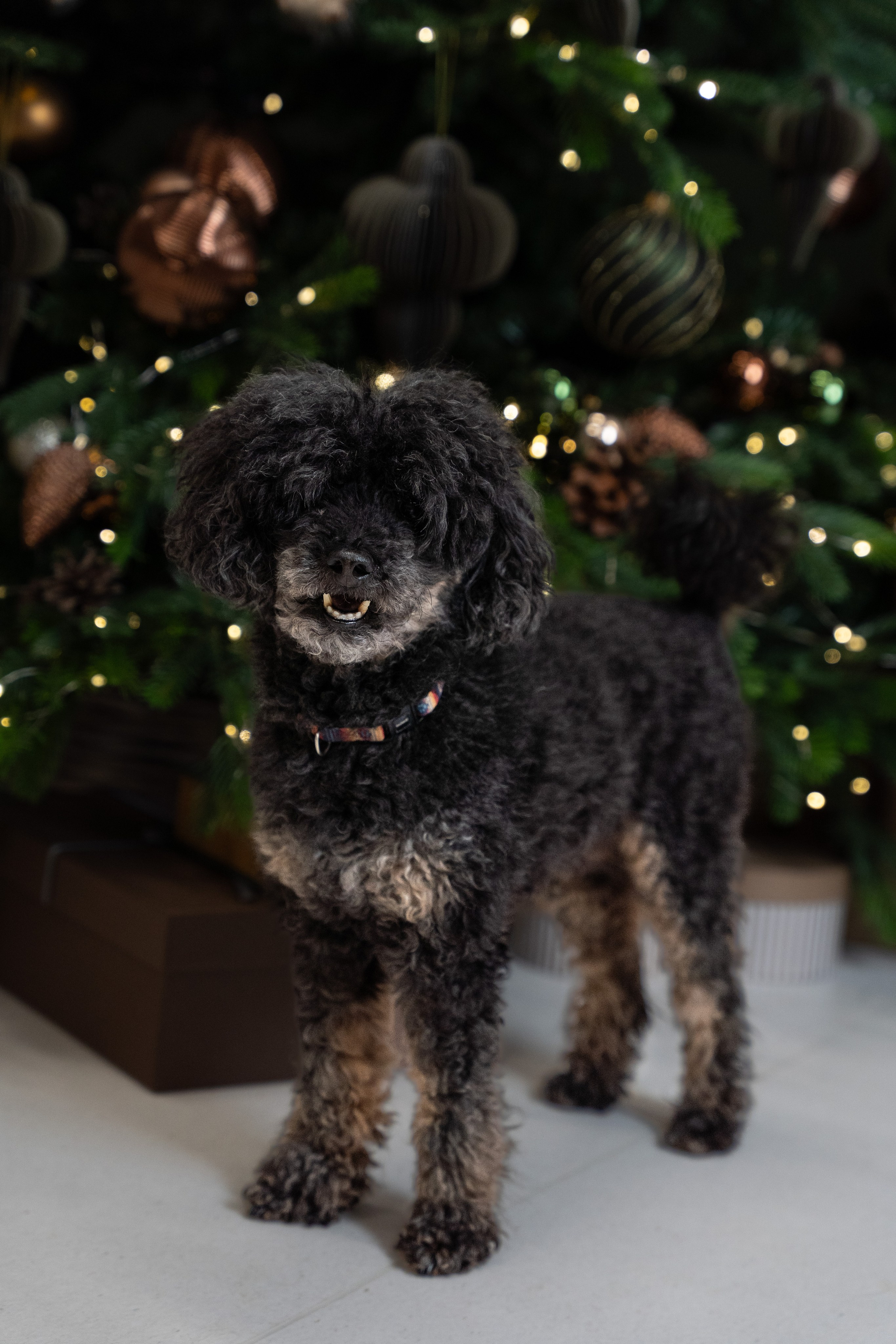 Irma su šeima (1). Aliaksandra Norvilas photographer Vilnius