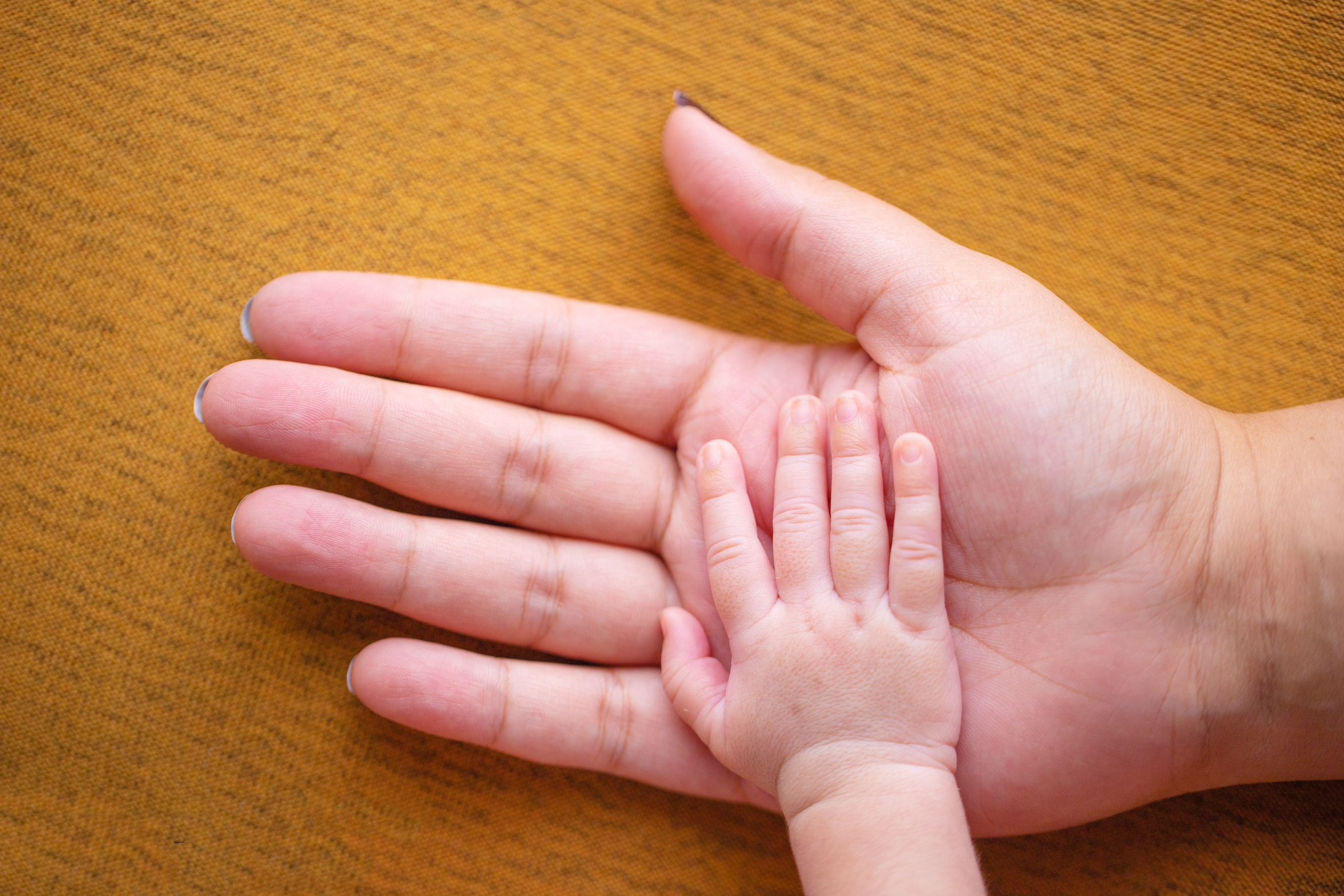 Parent. parents. parent's love. affection. mother. father. parenthood. motherhood. fatherhood. family. bonding. love. adorable. cute. hands. holding hands. hand holding. 