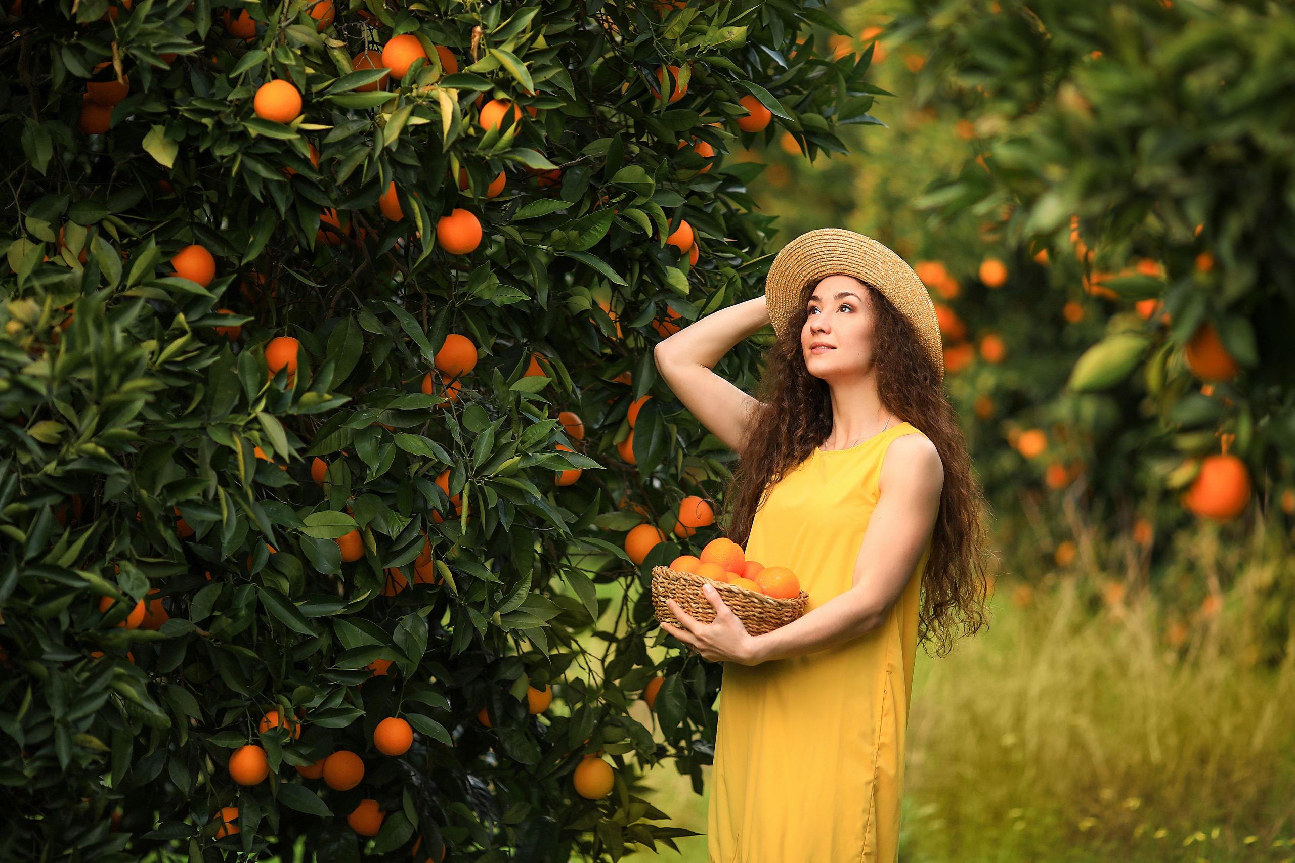 Photoshooting in orange garden. Photographer in Turkey, Antalya, Kemer, Belek, Side, Kas, Fethiye