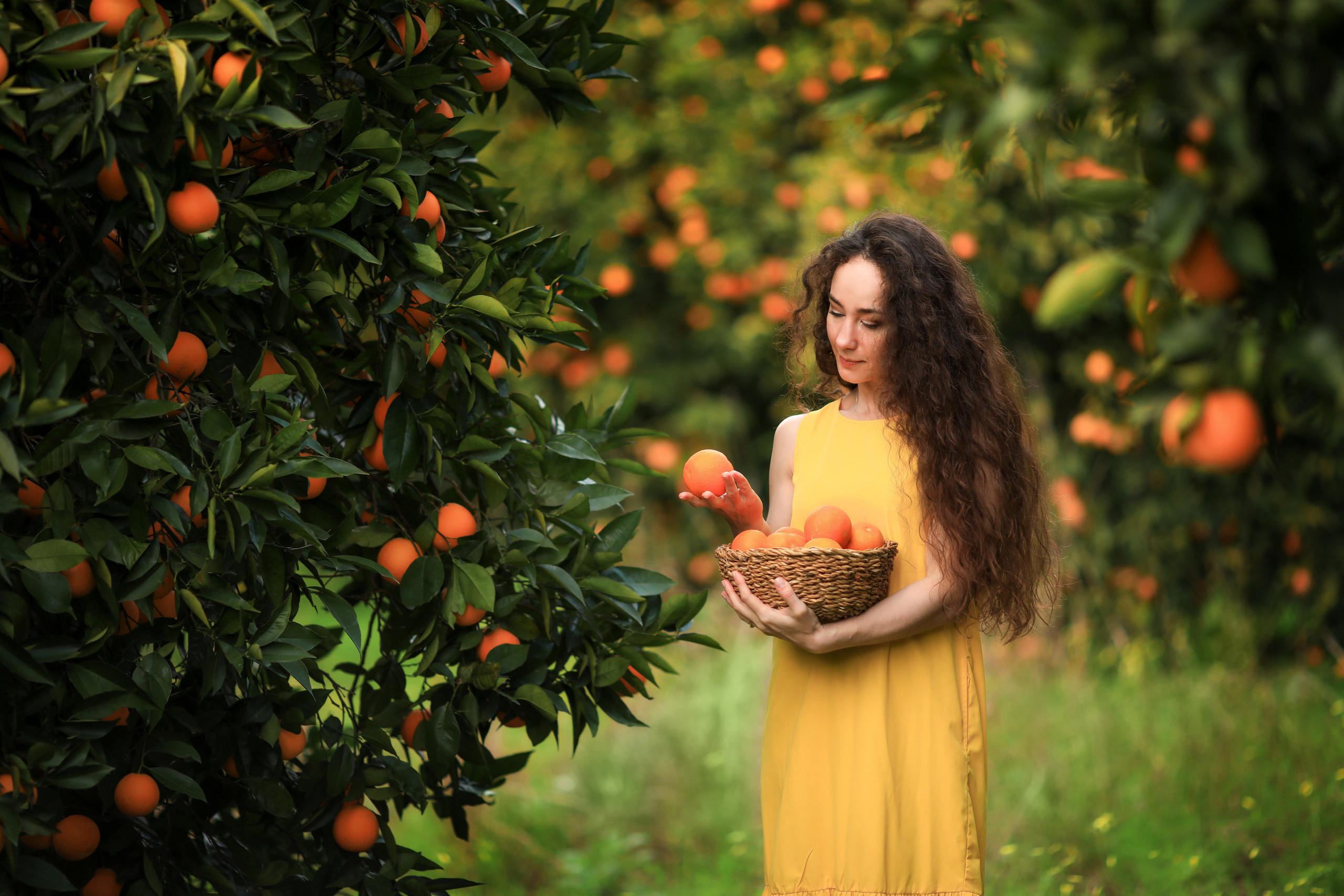 Photoshooting in orange garden. Photographer in Turkey, Antalya, Kemer, Belek, Side, Kas, Fethiye