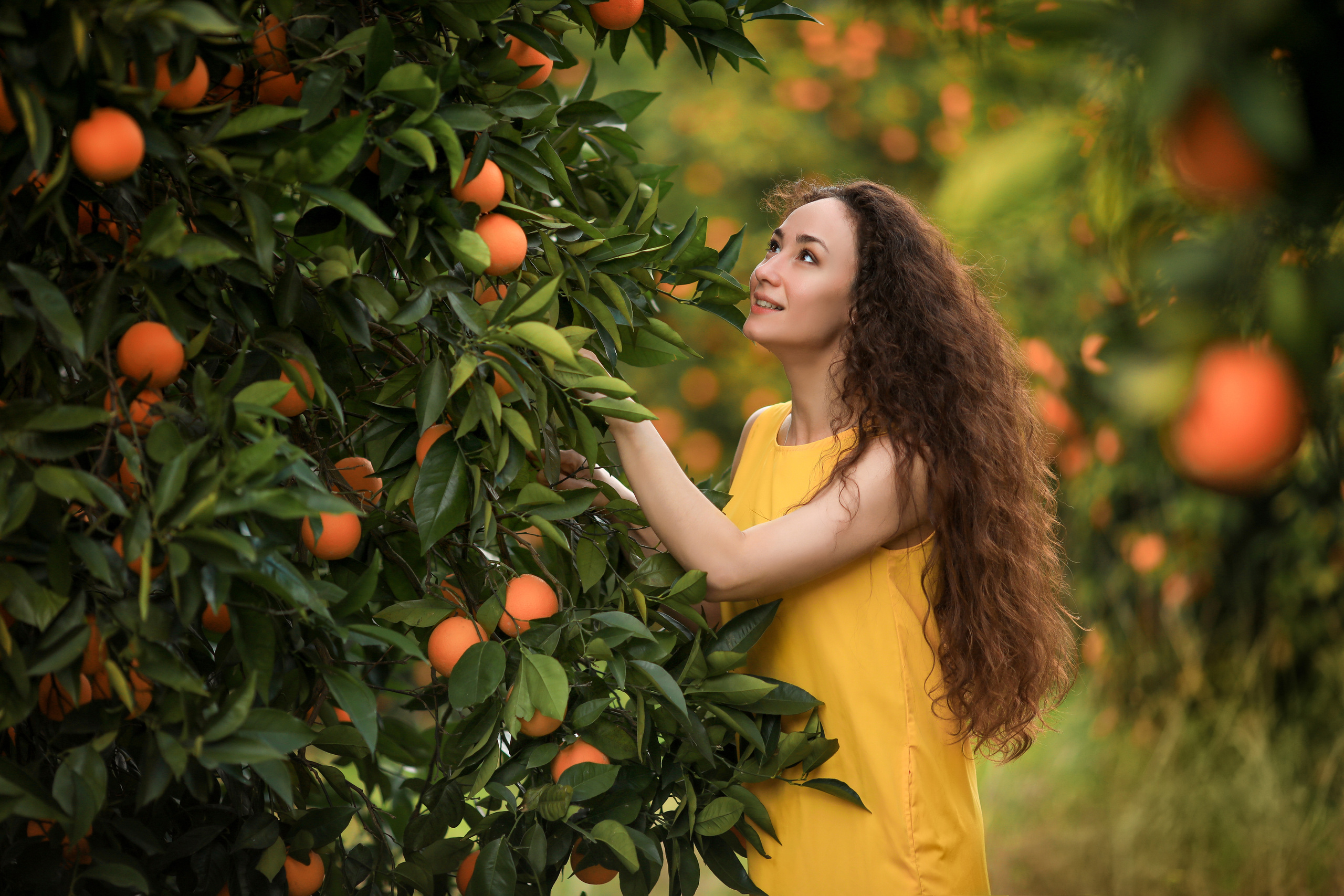 Photoshooting in orange garden. Photographer in Turkey, Antalya, Kemer, Belek, Side, Kas, Fethiye