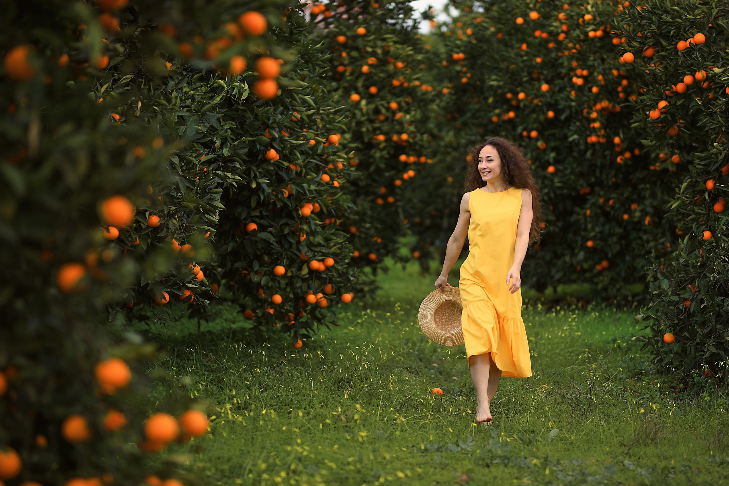 Photoshooting in orange garden. Photographer in Turkey, Antalya, Kemer, Belek, Side, Kas, Fethiye