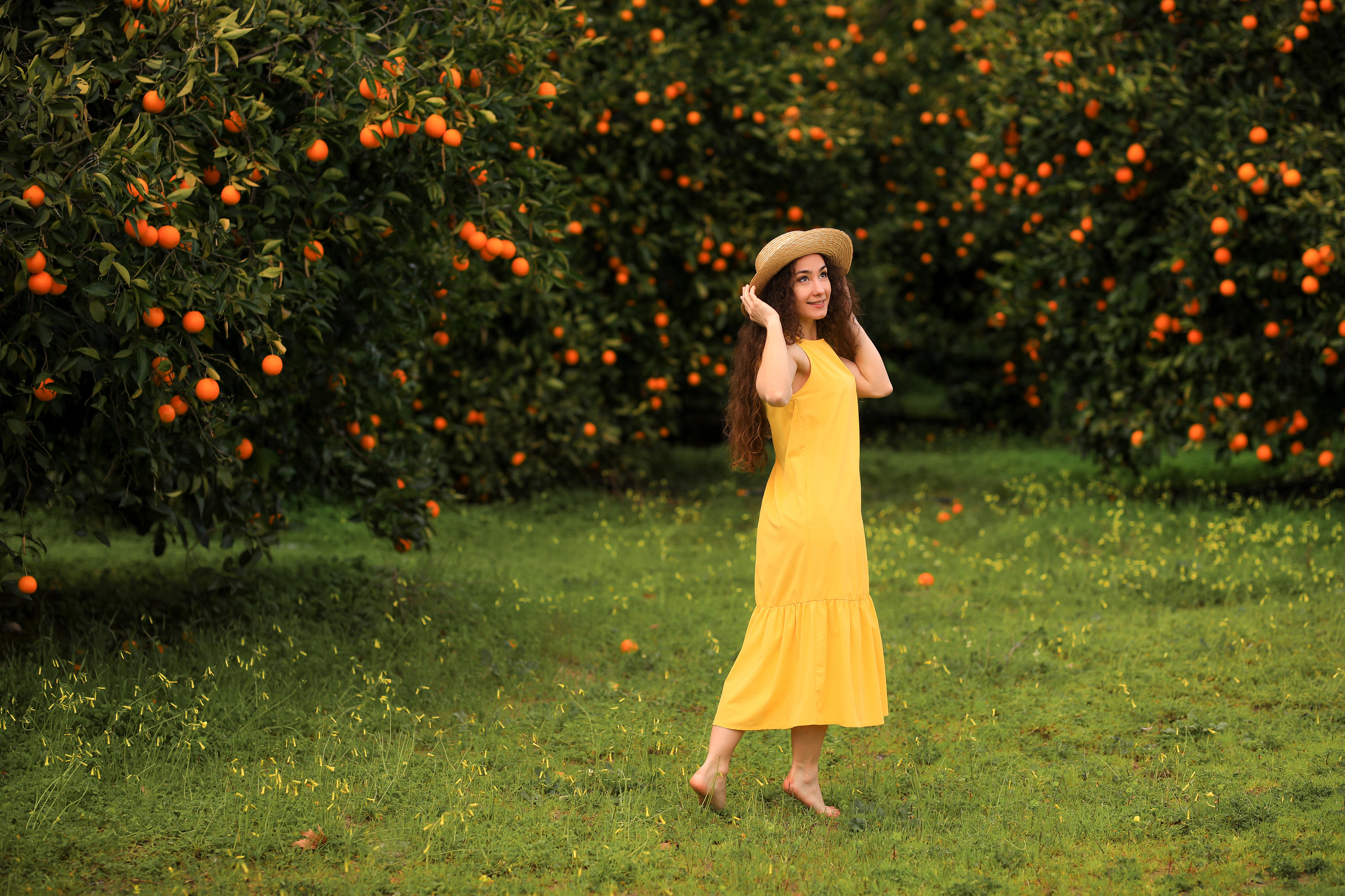 Photoshooting in orange garden. Photographer in Turkey, Antalya, Kemer, Belek, Side, Kas, Fethiye